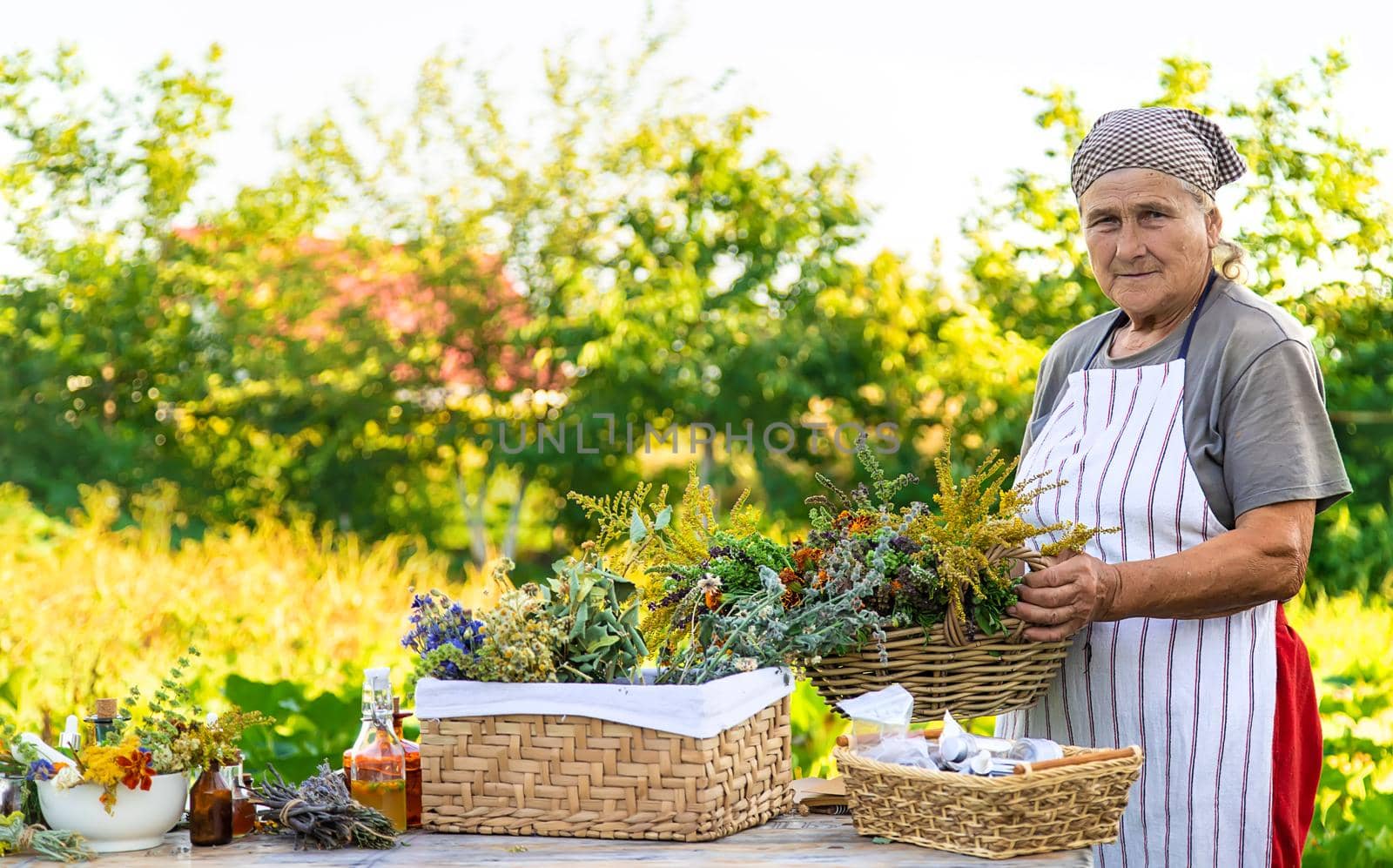 Grandmother makes tinctures from medicinal herbs. Selective focus. People.