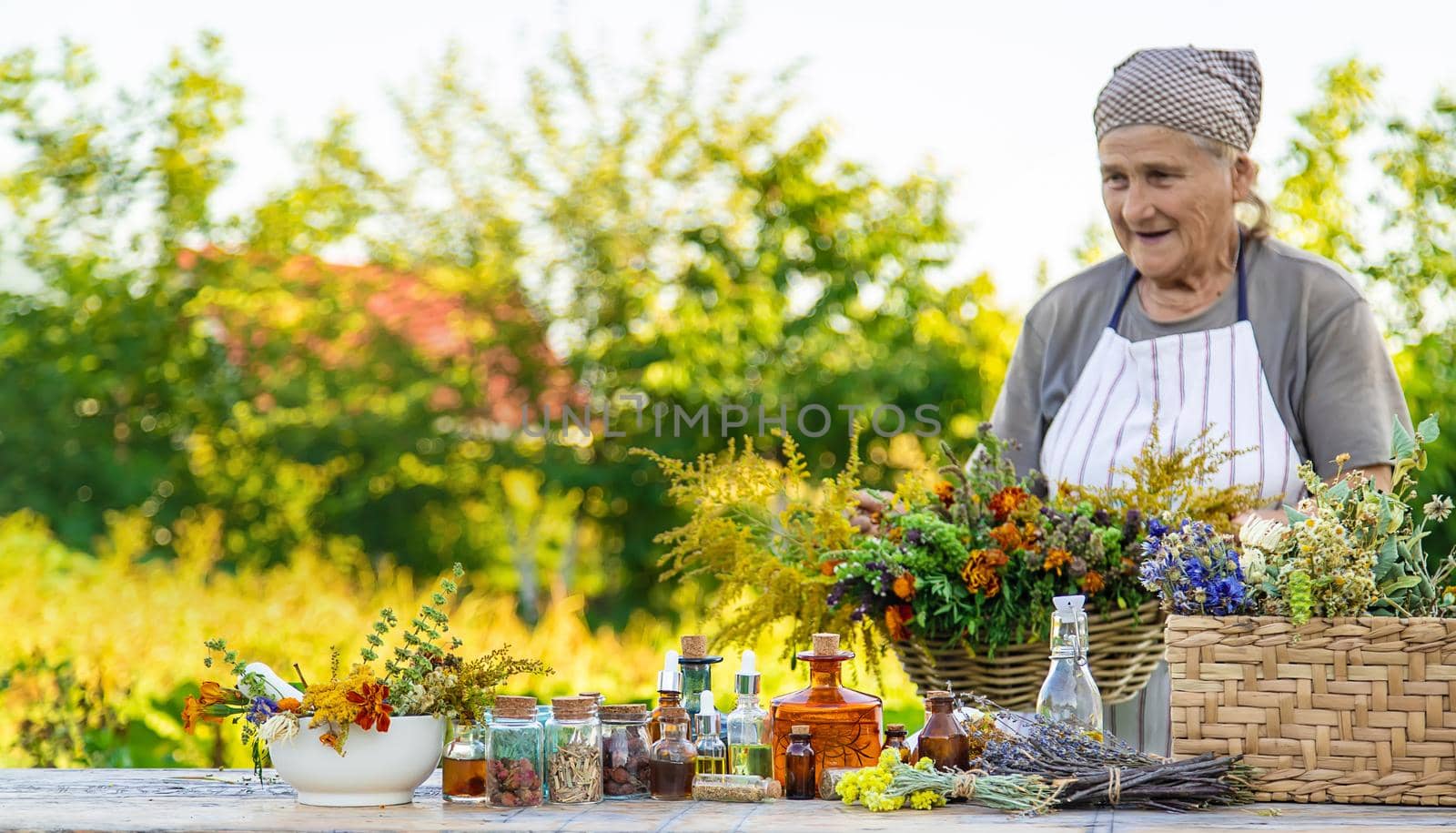 Grandmother makes tinctures from medicinal herbs. Selective focus. People.