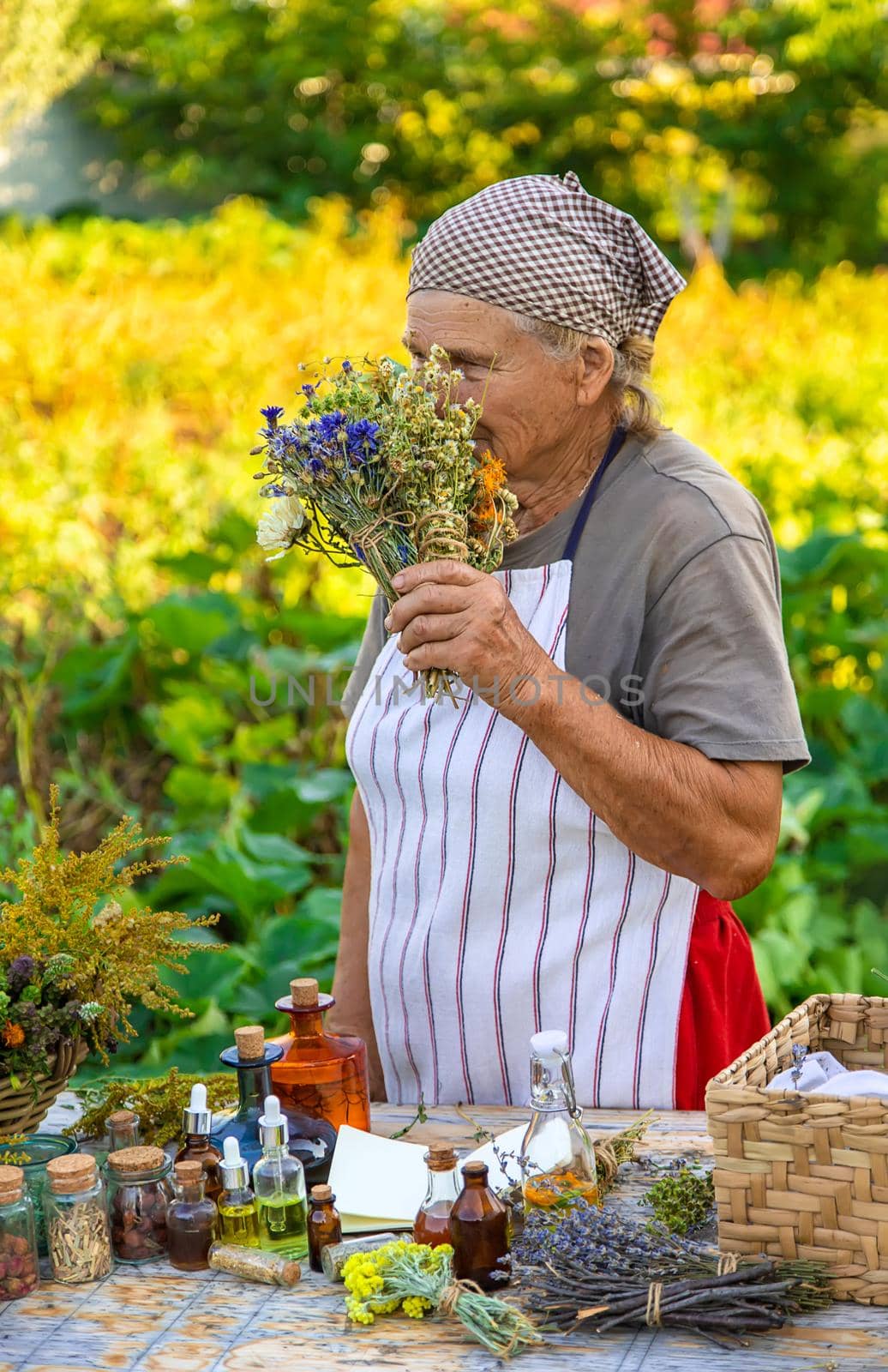 Grandmother makes tinctures from medicinal herbs. Selective focus. People.