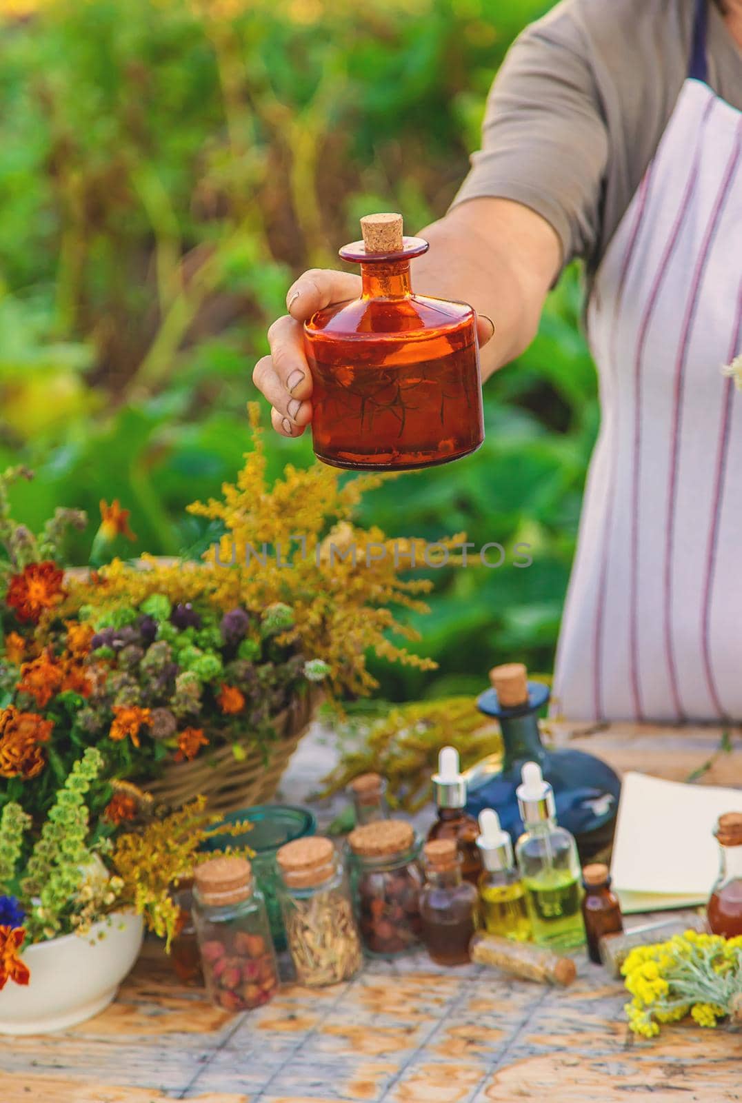 Grandmother makes tinctures from medicinal herbs. Selective focus. People.