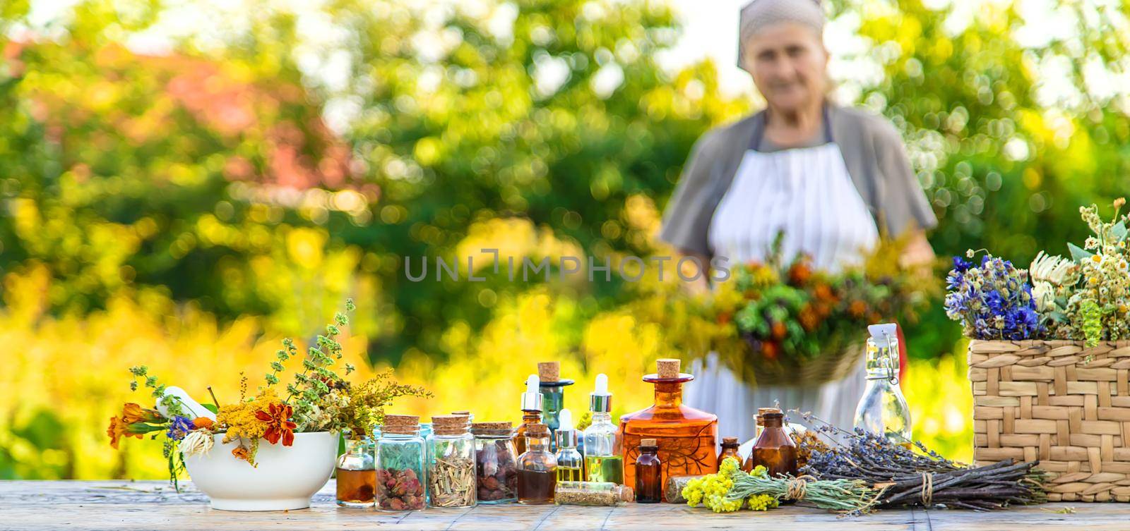 Grandmother makes tinctures from medicinal herbs. Selective focus. by yanadjana