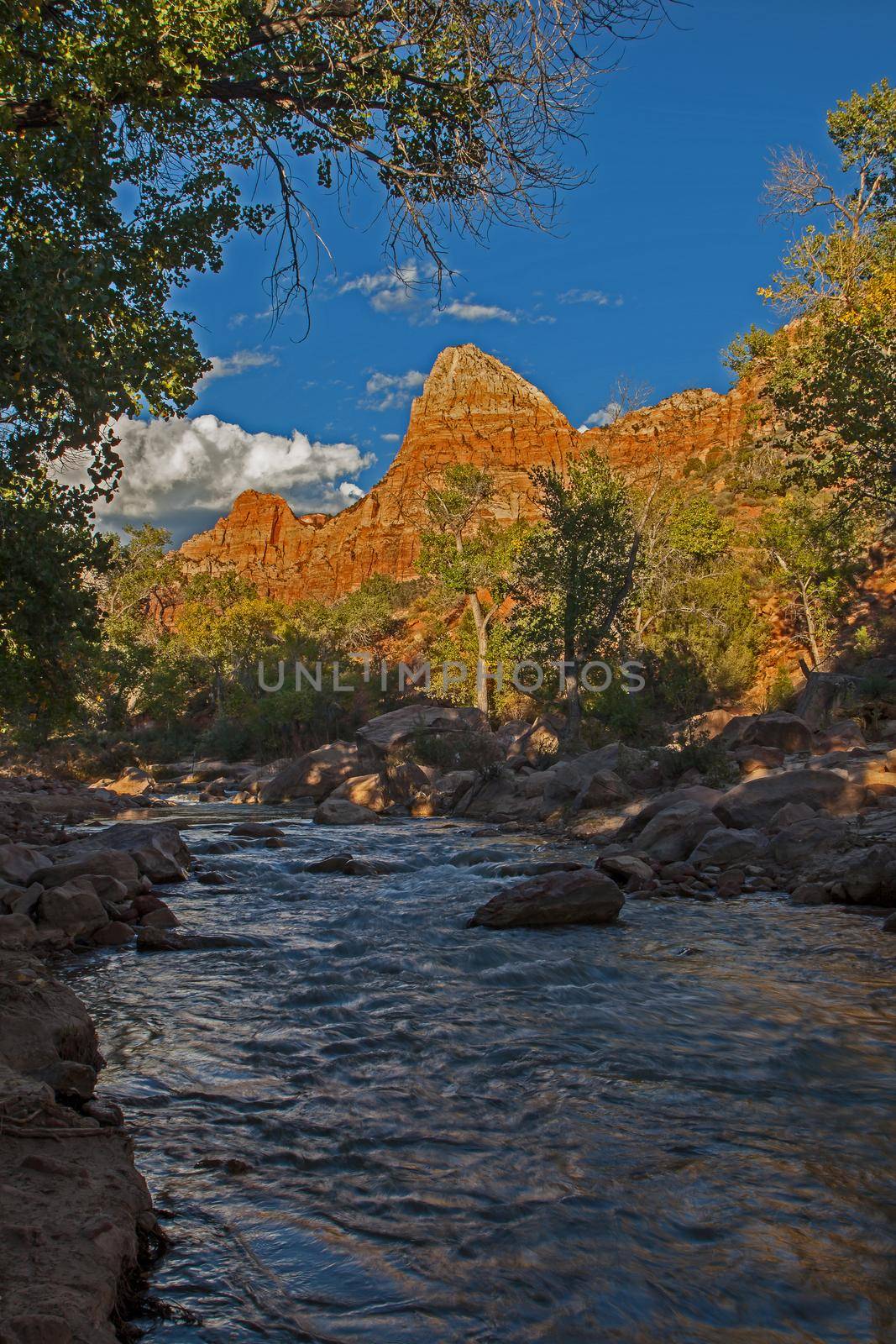 The Virgin River from Zion Canyon Campground. Springdale Utah