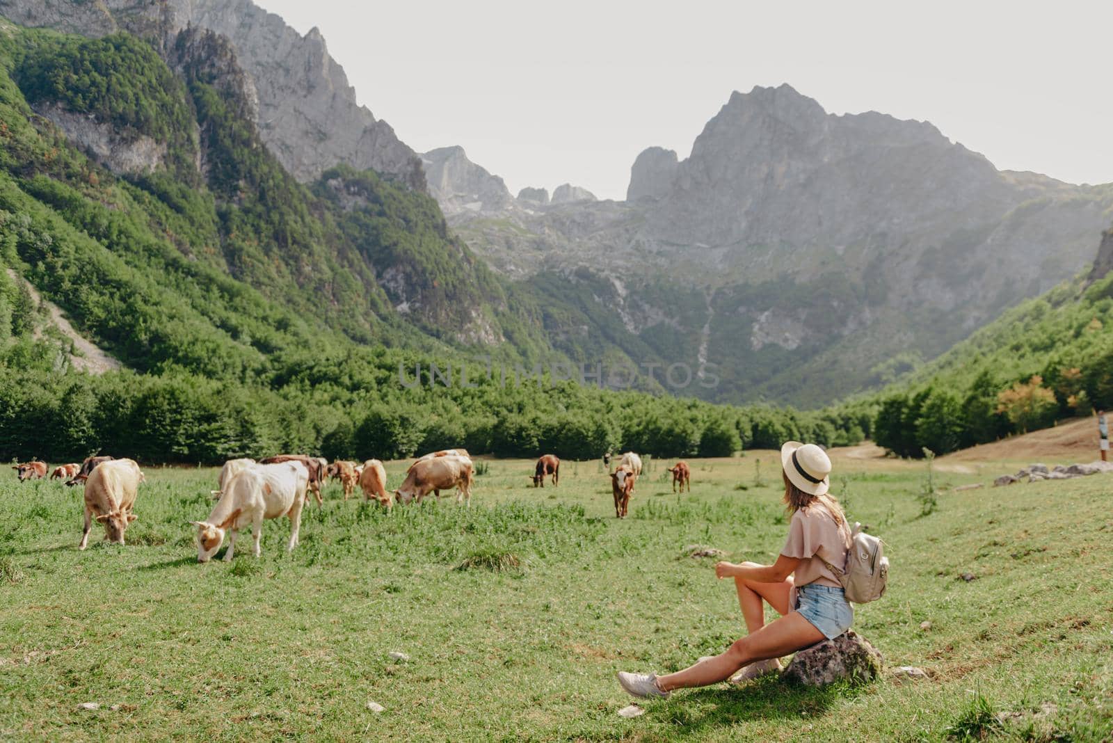 Young woman sitting and relaxing on alpine mountain looking the cow eating a grass in the summer. Travel, Lifestyle Concept. Beautiful woman enjoys views of the alpine village in the Alps mountains. Happy tourist girl traveling to Europe by Andrii_Ko