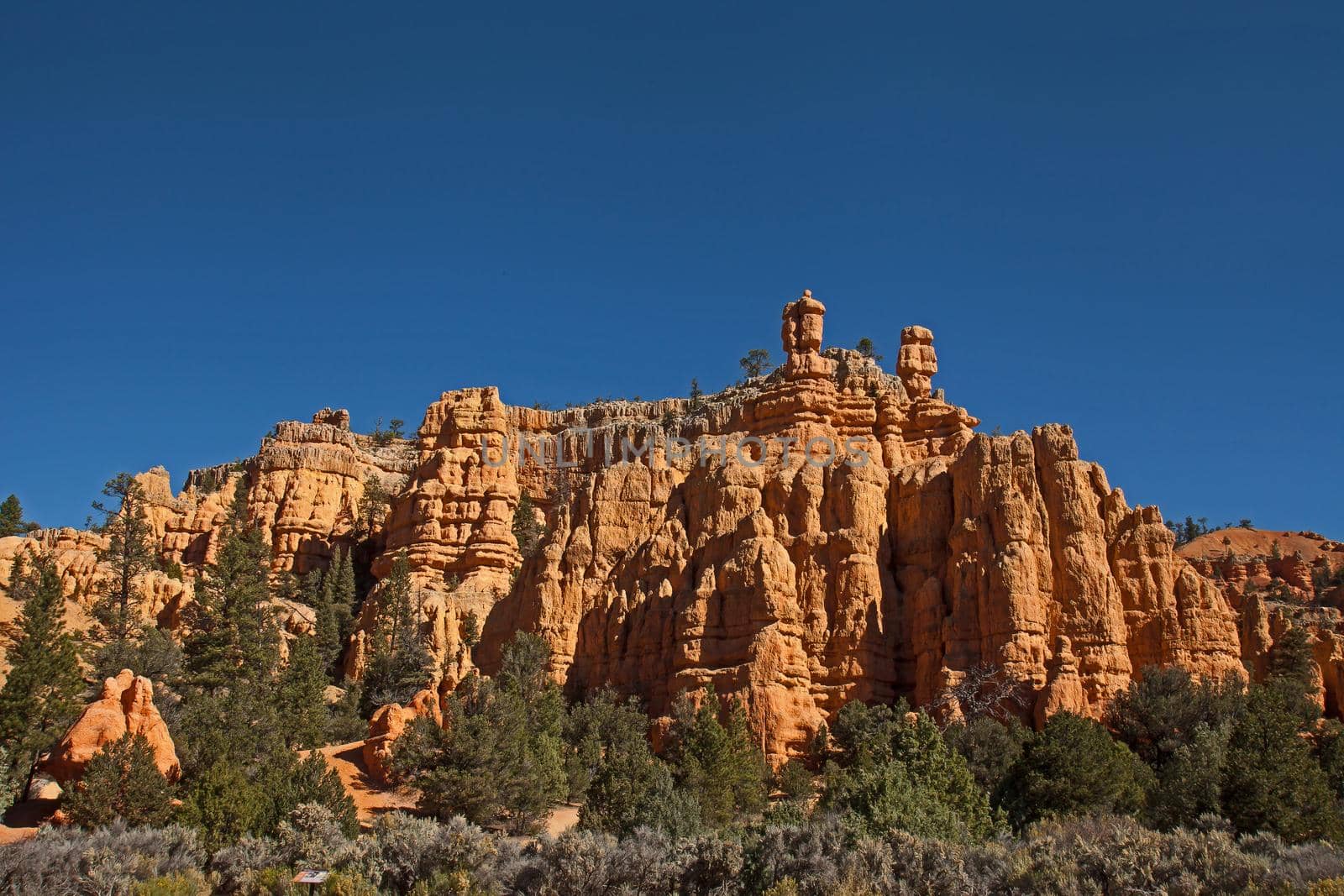 Hoodoos and trees on the Castle bridge Trail in Red Canyon, Dixie Naional Forest. Utah