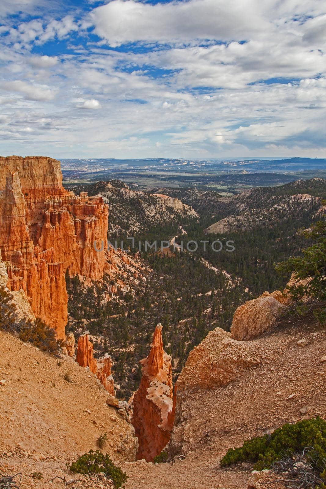 View from the Paria Viewpoint in Bryce Canyon National Park. Utah.USA