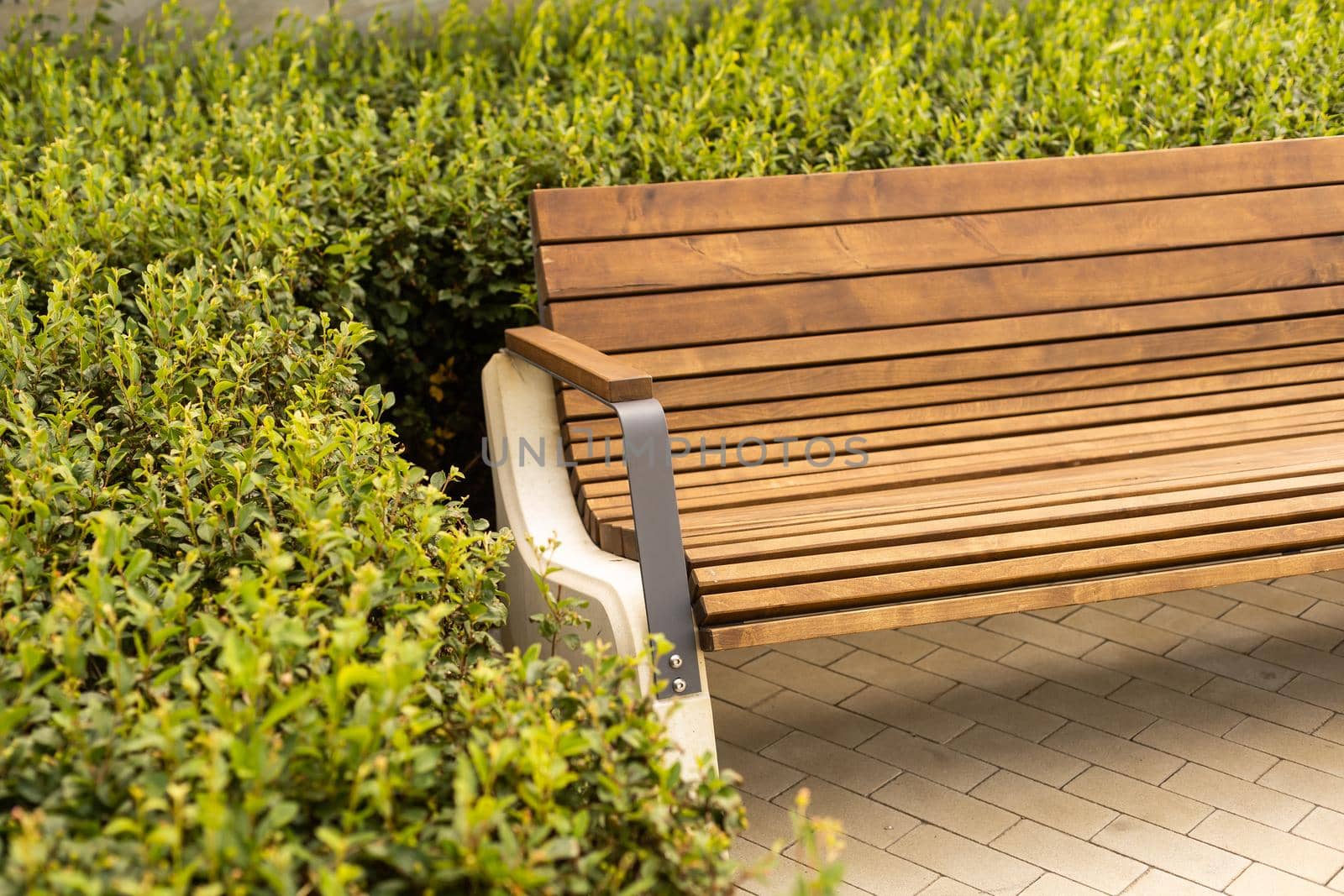 New modern bench in park. Outdoor city architecture, wooden benches, outdoor chair, urban public furniture, empty plank seat, comfortable bench in recreation area