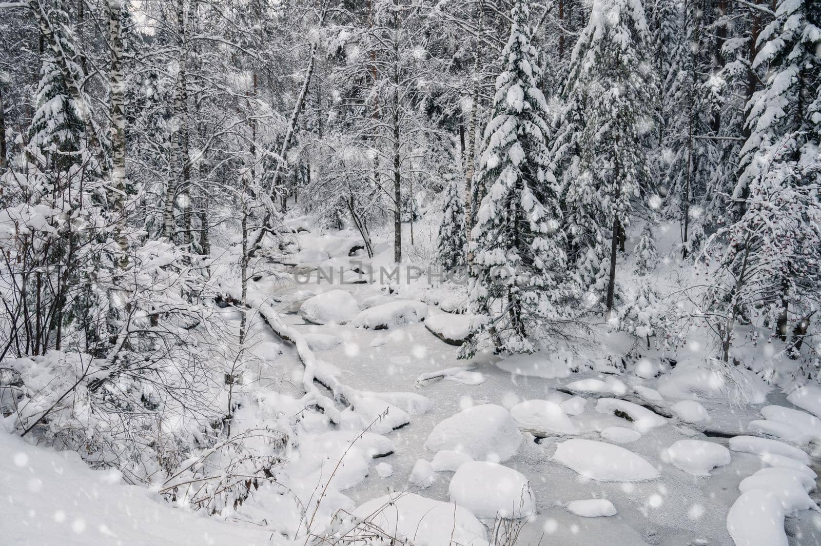 Winter landscape with fair trees under the snow.
