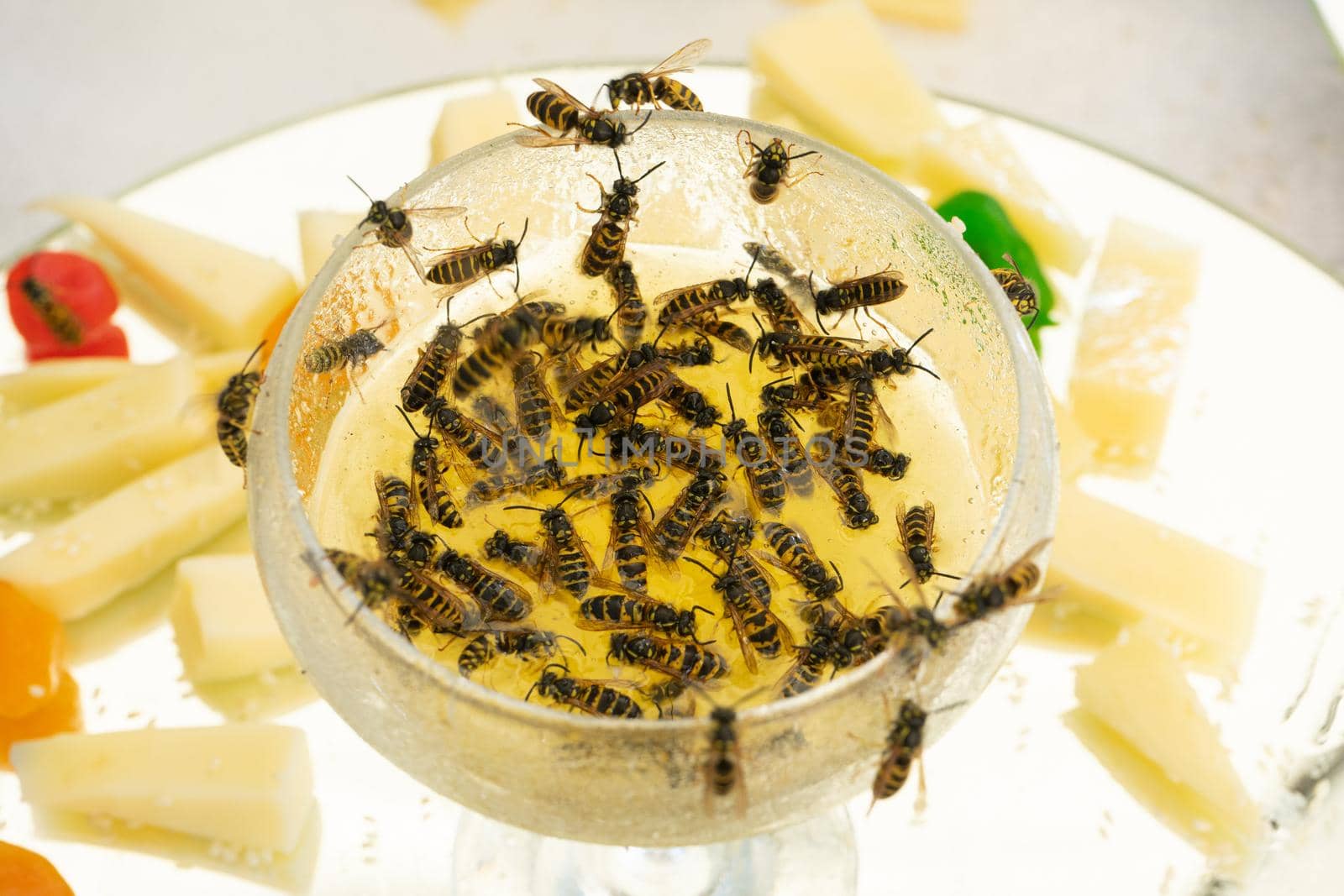 Many wasps eat honey from a bowl. Delicacies. Honey and melon on a plate.