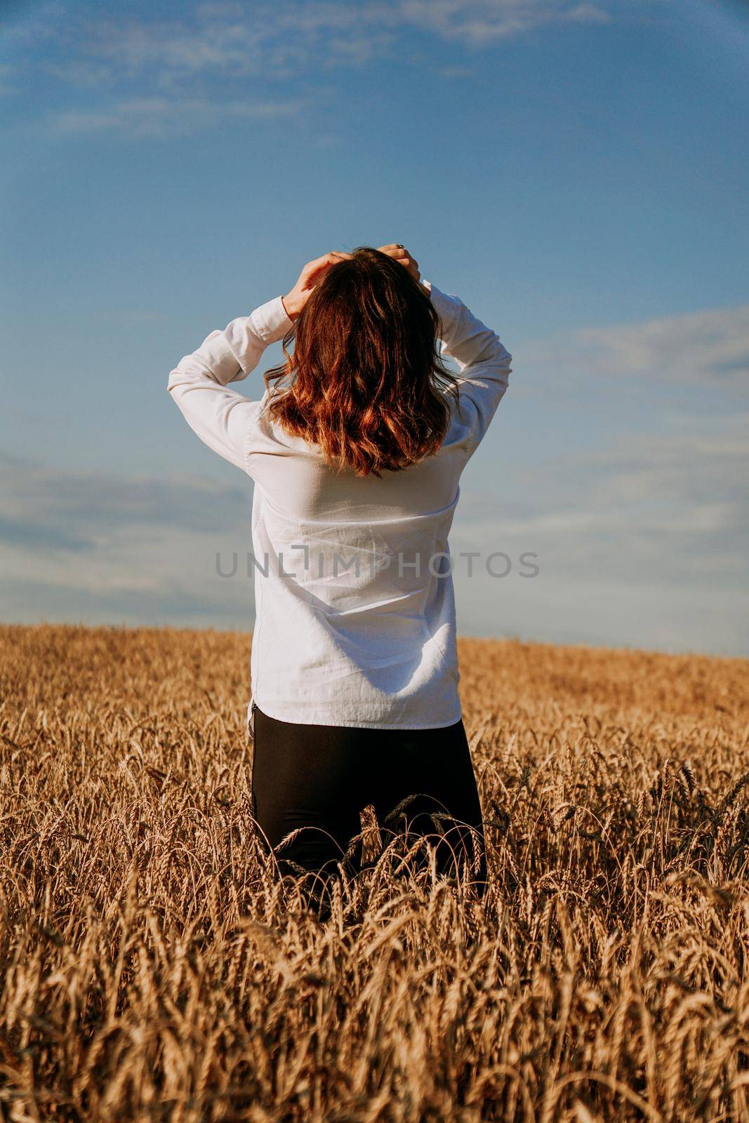 A woman in a white shirt in a rye field. View from the back. The concept of pacification, meditation, happiness, harmony