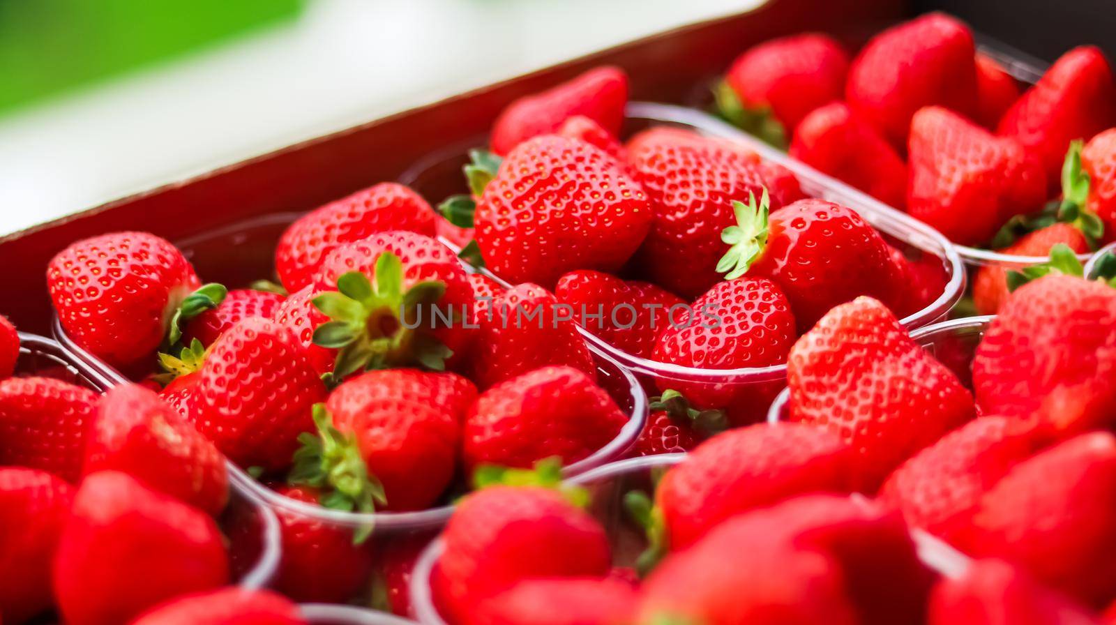 Strawberries packaged in box, sweet ripe perfect strawberry harvest, organic garden and agriculture by Anneleven