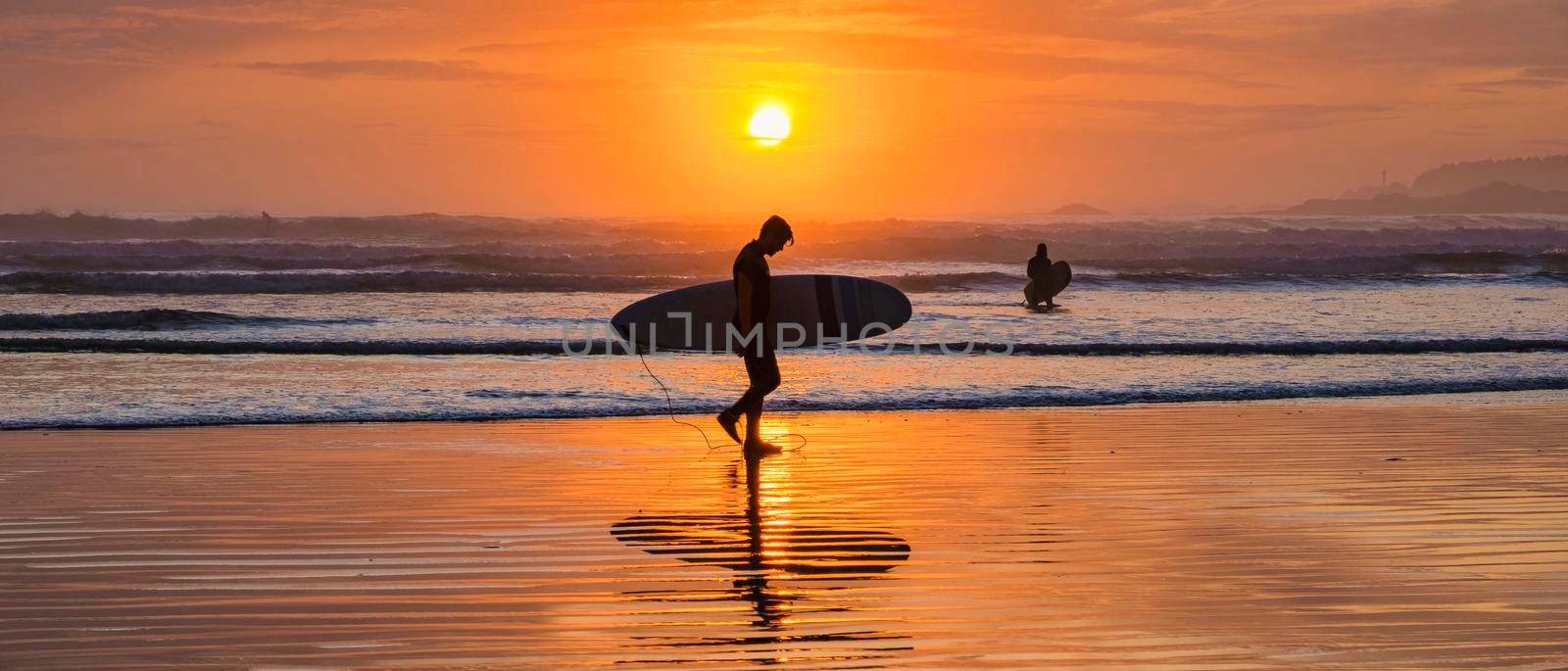 Tofino Vancouver Island Pacific rim coast, surfers with board during sunset at the beach by fokkebok