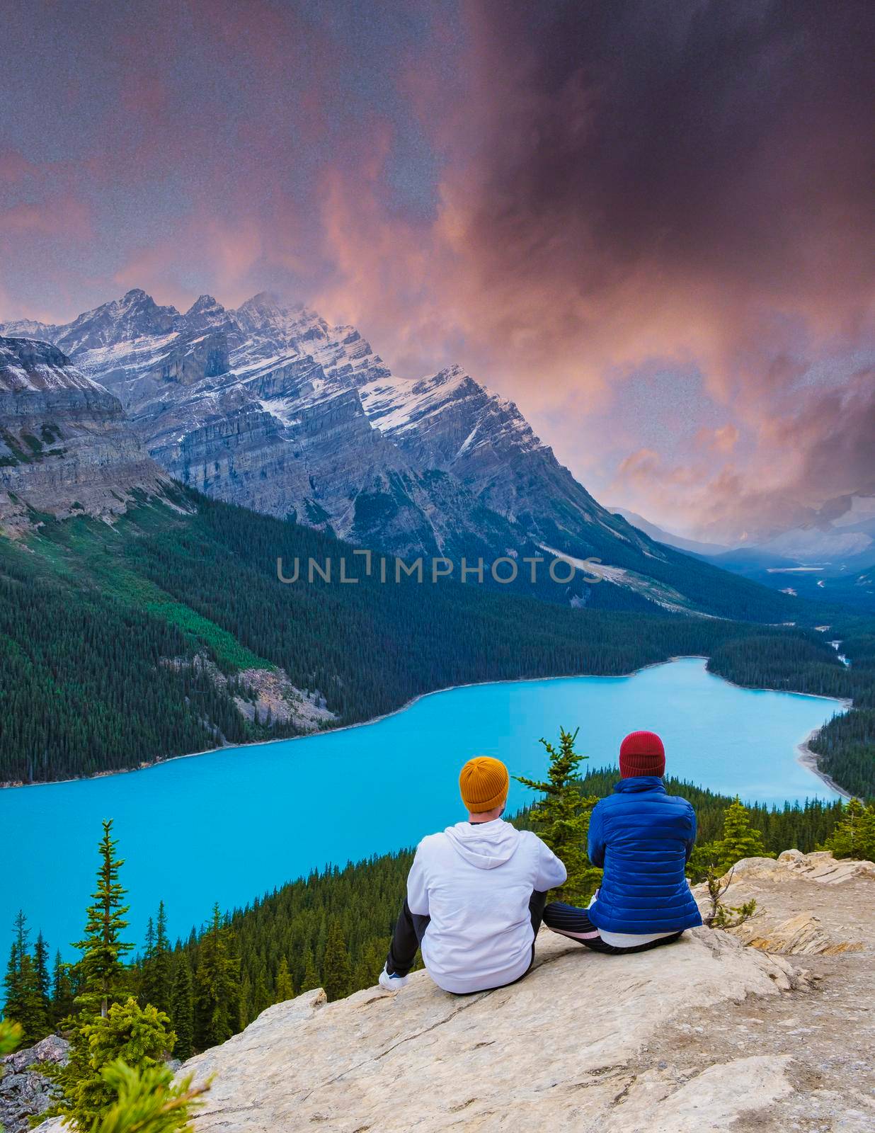 Lake Peyto in Banff National Park, Canada. Mountain Lake as a fox head is popular among tourist in Canada by fokkebok