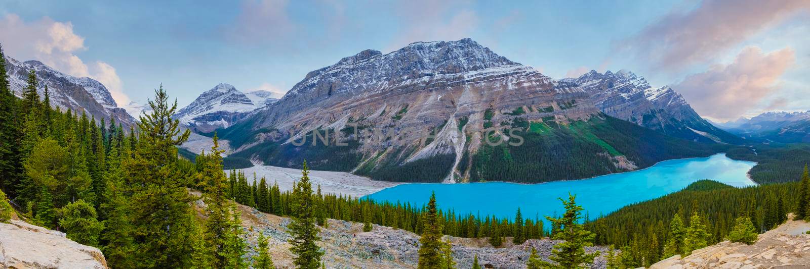 Lake Peyto in Banff National Park, Canada. Mountain Lake as a fox head is popular among tourist in Canada by fokkebok