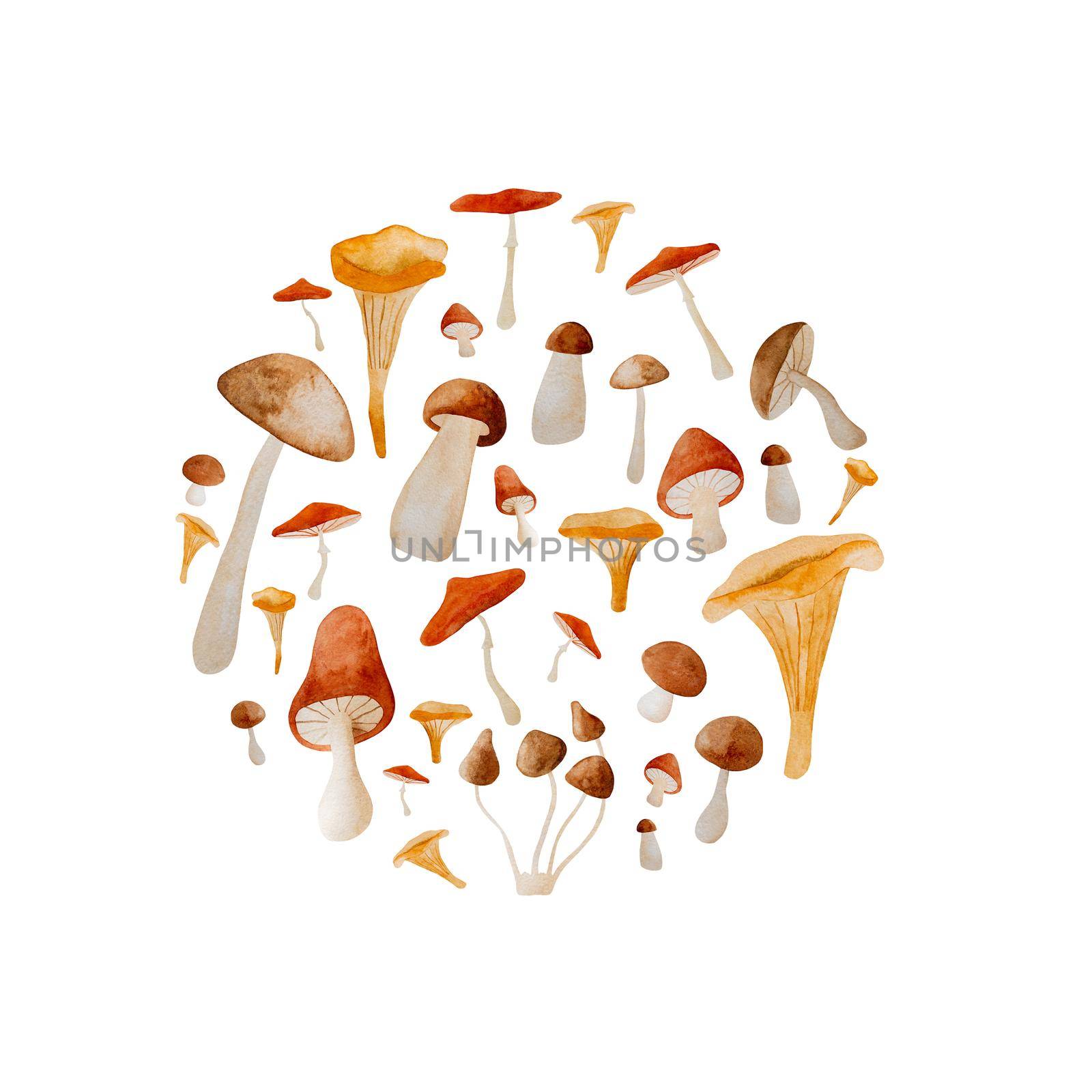 Autumn mushroom paintings by tan4ikk1