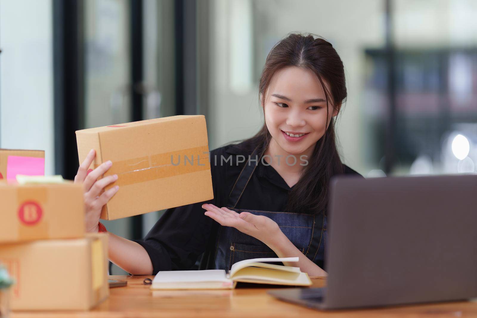 Portrait of modern Asian SME business woman entrepreneur at home office.