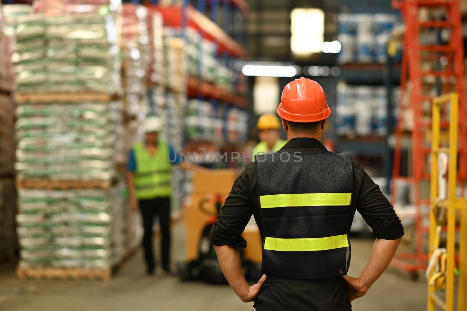 Rear view of male manager wearing hardhats and reflective jackets standing in warehouse with packed boxes on shelves in background.