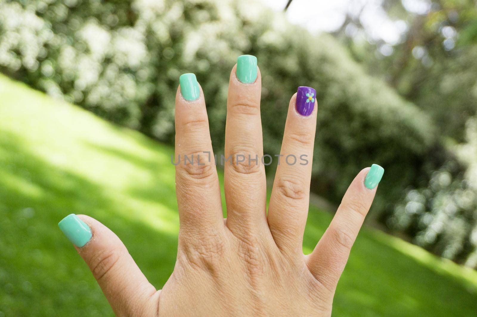 Womans hand with nails painted in green color. Green background