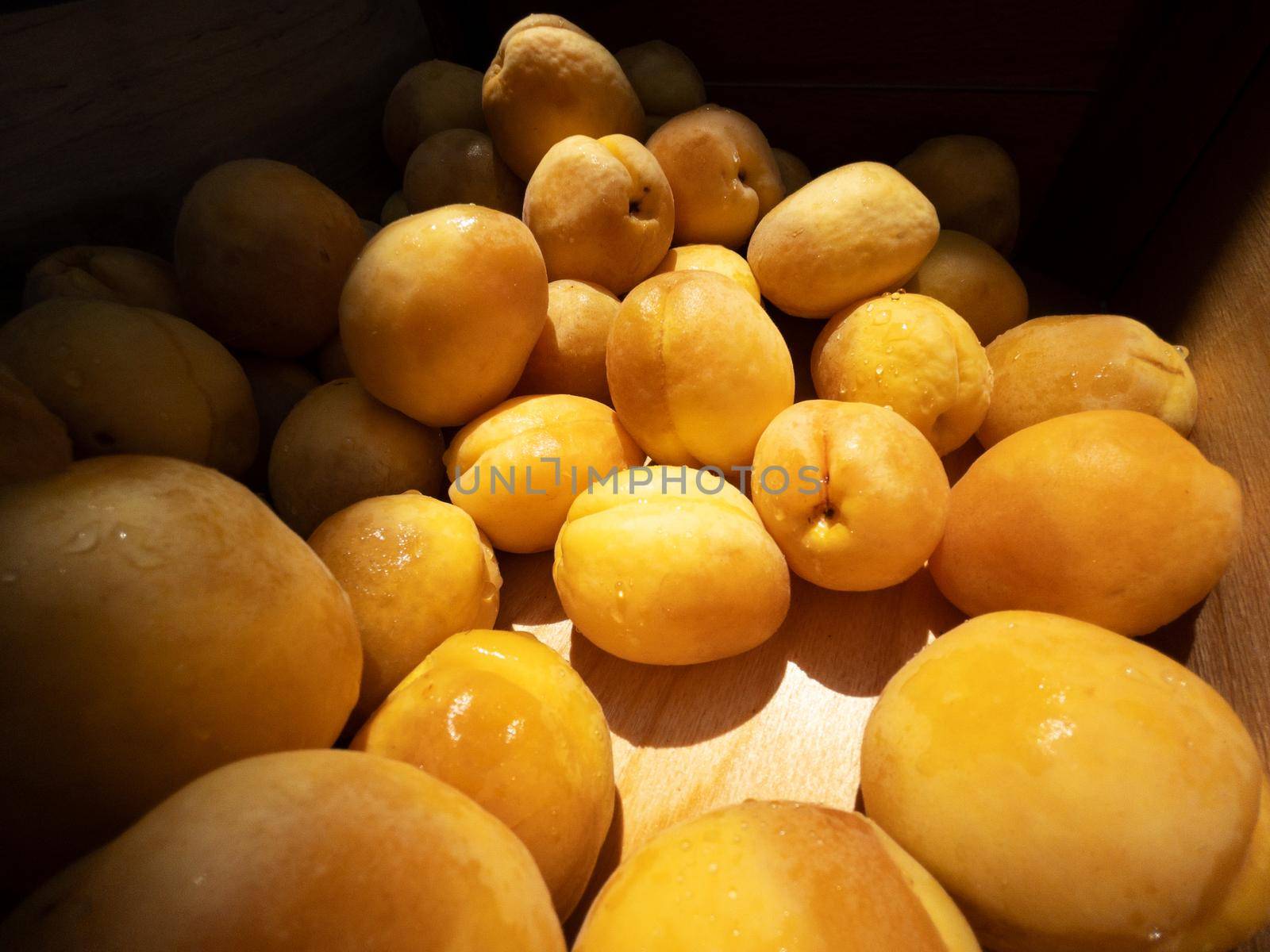 Fresh ripe apricots in plastic boxes at the local farmer market by AlexGrec