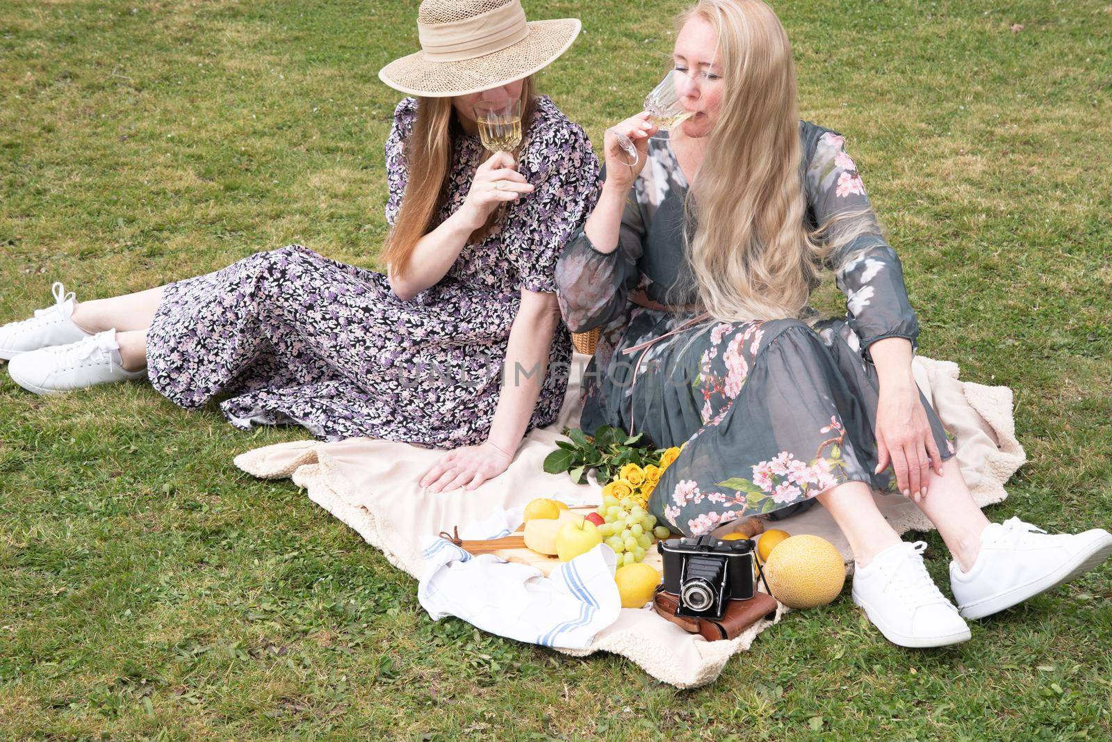 a two young women in a summer long dresses is resting on a picnic, a Blanket with cheese plate and fruits, rest from worries and household chores, parks and recreation areas,.High quality photo