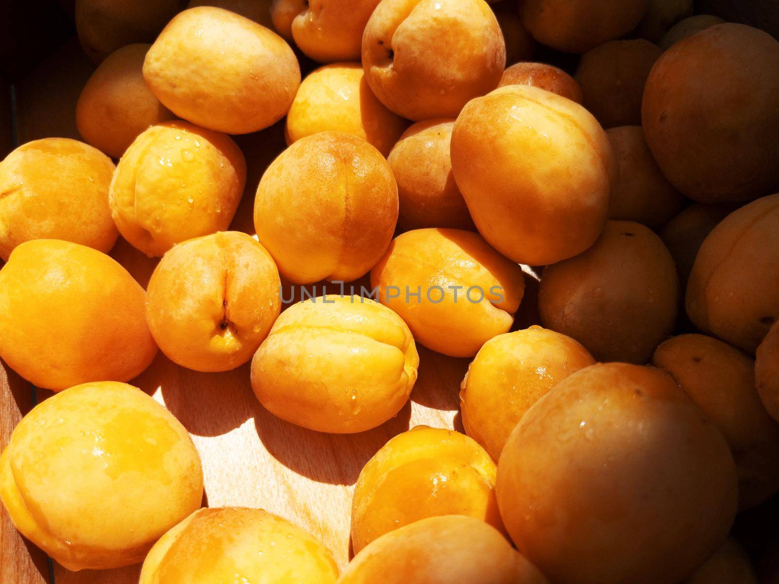 Fresh ripe apricots in plastic boxes at the local farmer market by AlexGrec