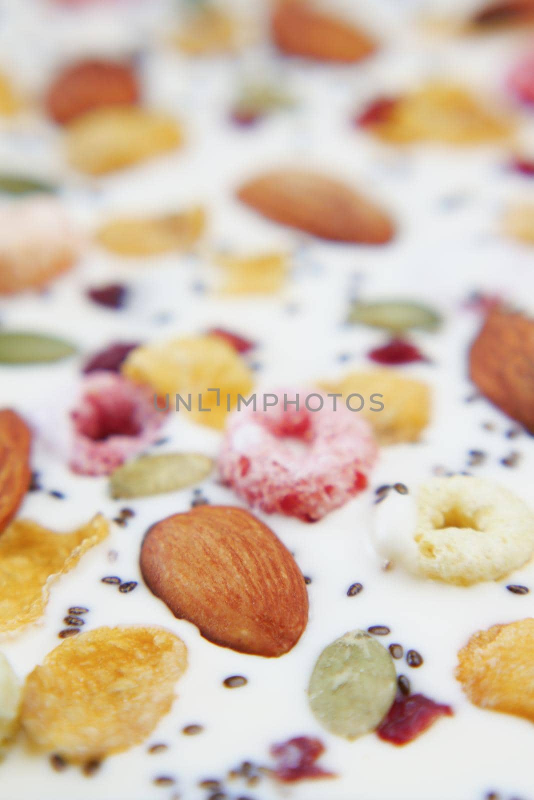 Nut candy in white chocolate