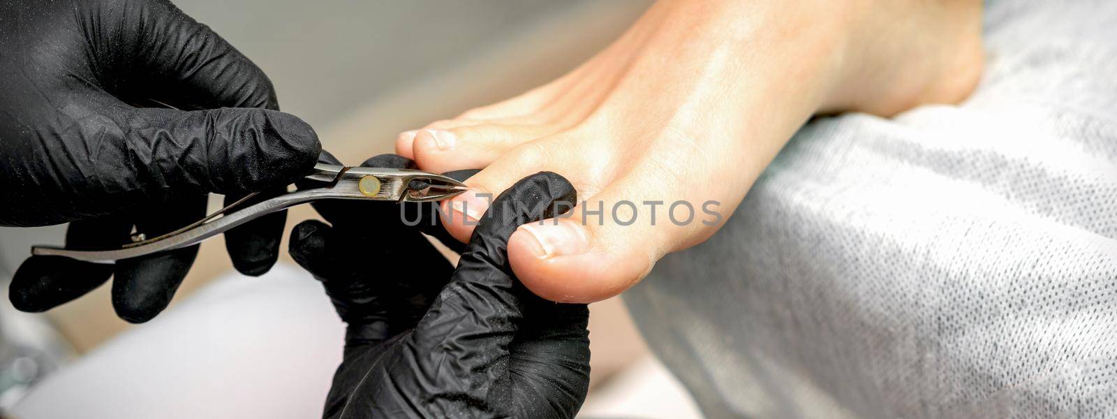 Closeup of a pedicure master is cutting and removing cuticle with nail tongs on female toes in a nail salon