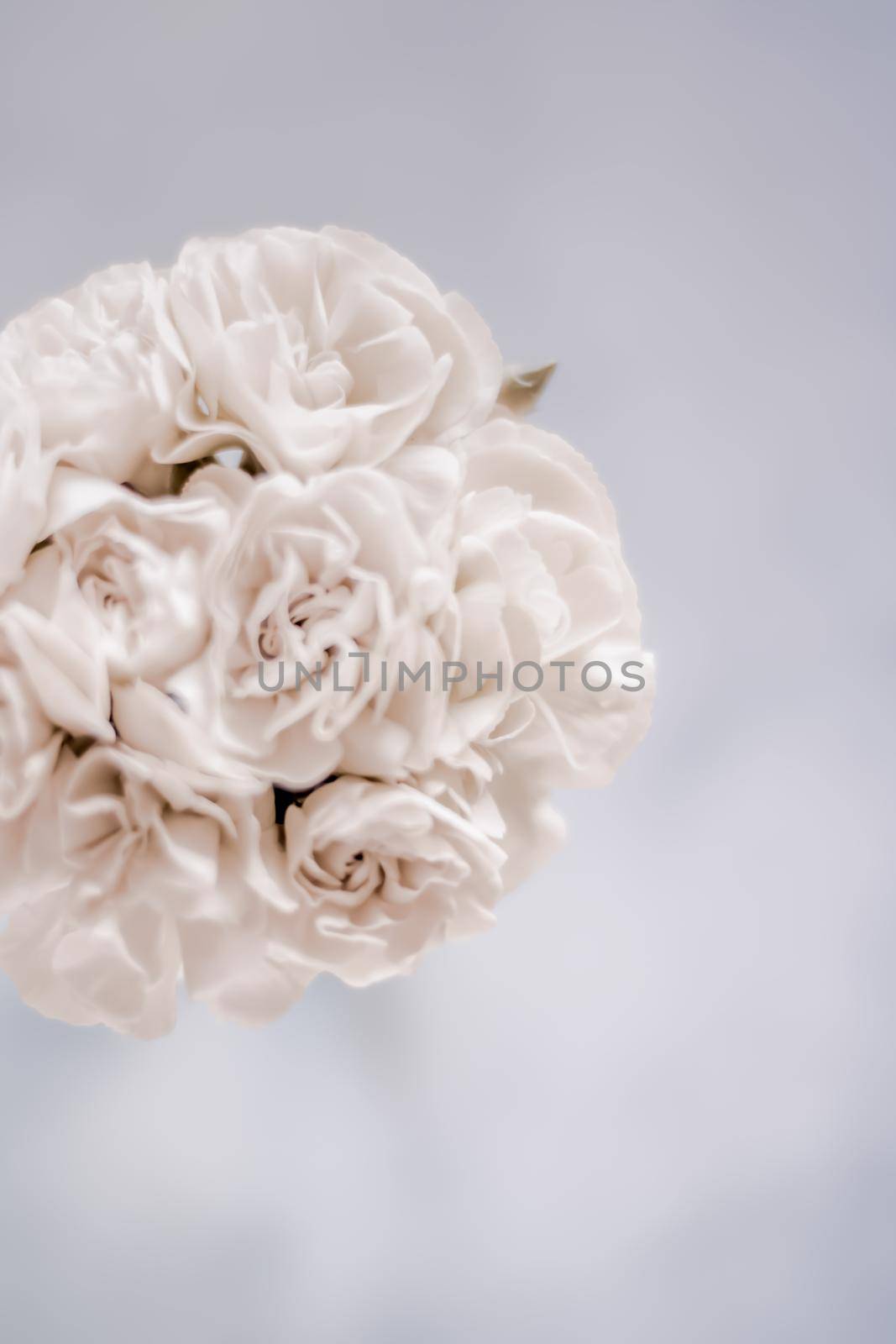 Bridal bouquet of white roses - wedding day, floral beauty, luxury event decoration concept. The happiest day of our lives