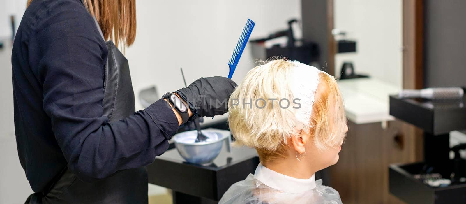 A female hairdresser is dyeing the hair of a young female client in white color in a hair salon