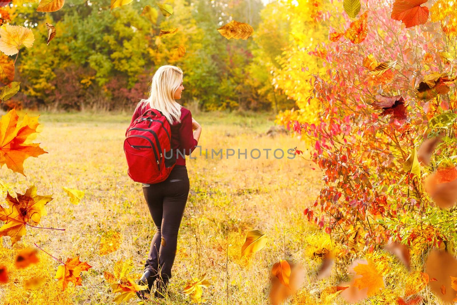 Beautiful girl walking outdoors in autumn. Smiling girl collects yellow leaves in autumn. Young woman enjoying autumn weather. High quality photo