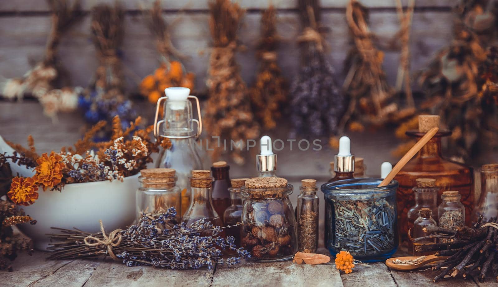 Medicinal herbs and tinctures homeopathy. Selective focus. Nature.