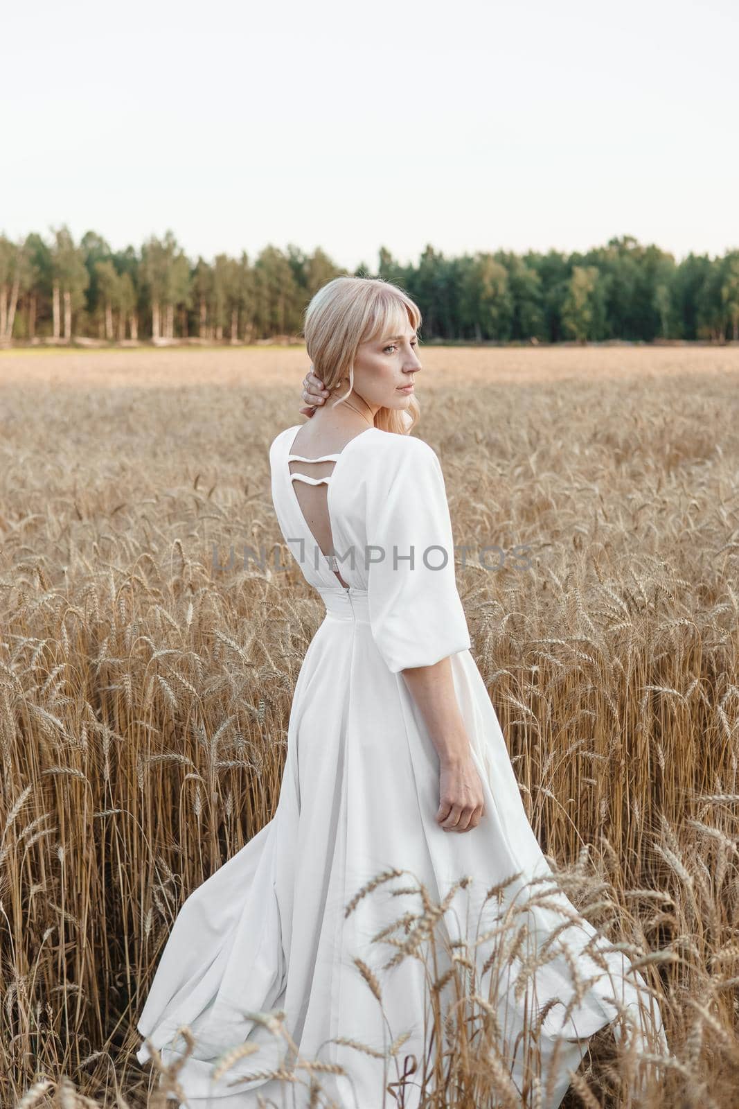 A blonde woman in a long white dress walks in a wheat field. The concept of a wedding and walking in nature.