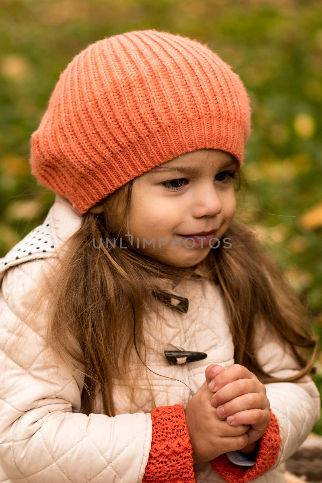 Portrait Little Preschool Minor Girl In Orange Beret On Yellow Fallen Leaves in Basket Wrapped In Blanket Dreamily Looks Away. Cold Weather In Fall Park. Childhood, Family, Motherhood, Autumn Concept by mytrykau