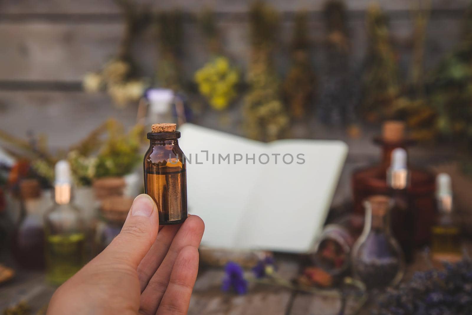 Medicinal herbs and tinctures homeopathy. Selective focus. Nature.