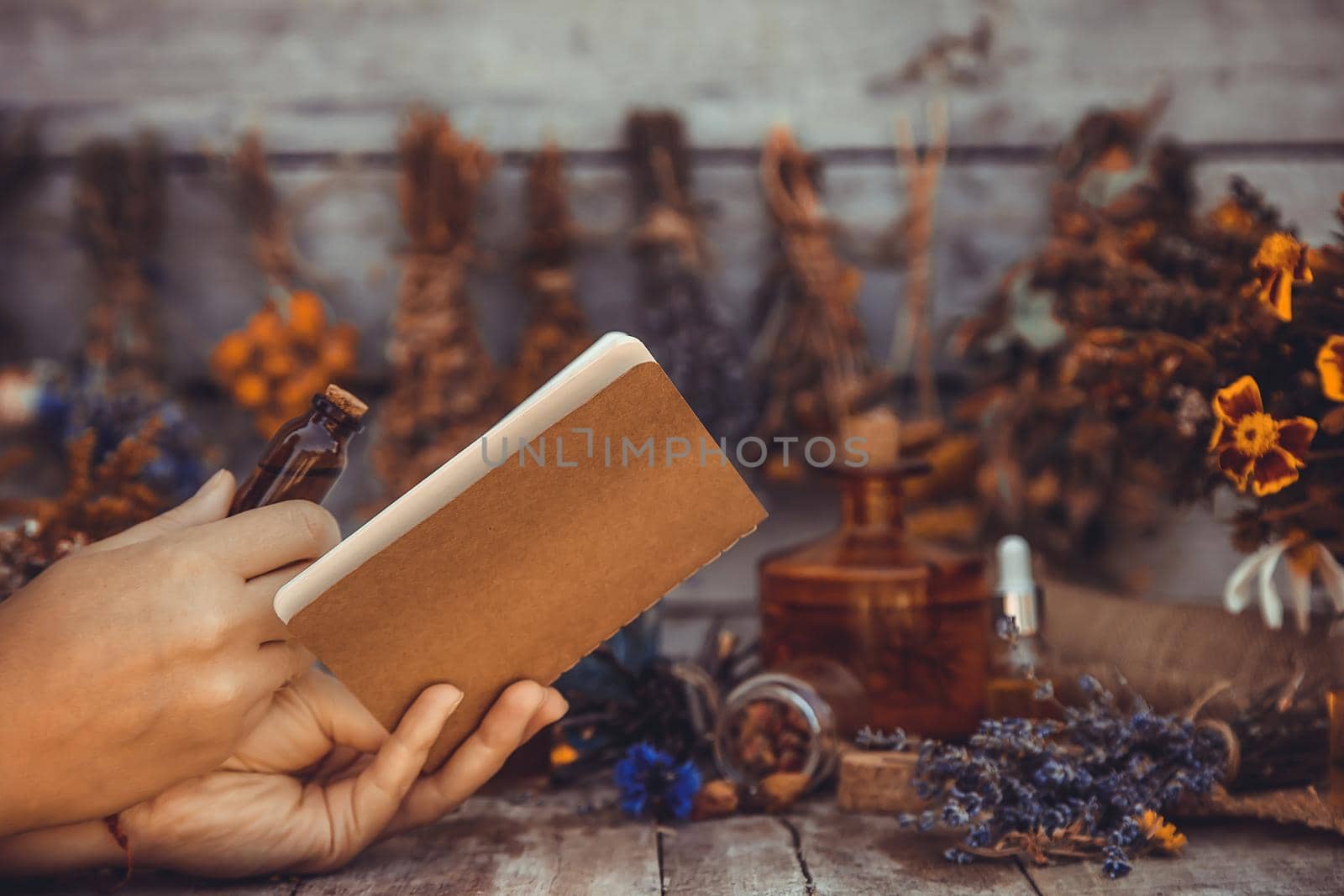 Medicinal herbs and tinctures homeopathy. Selective focus. Nature.