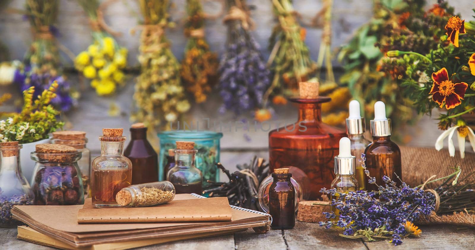 Medicinal herbs and tinctures homeopathy. Selective focus. Nature.