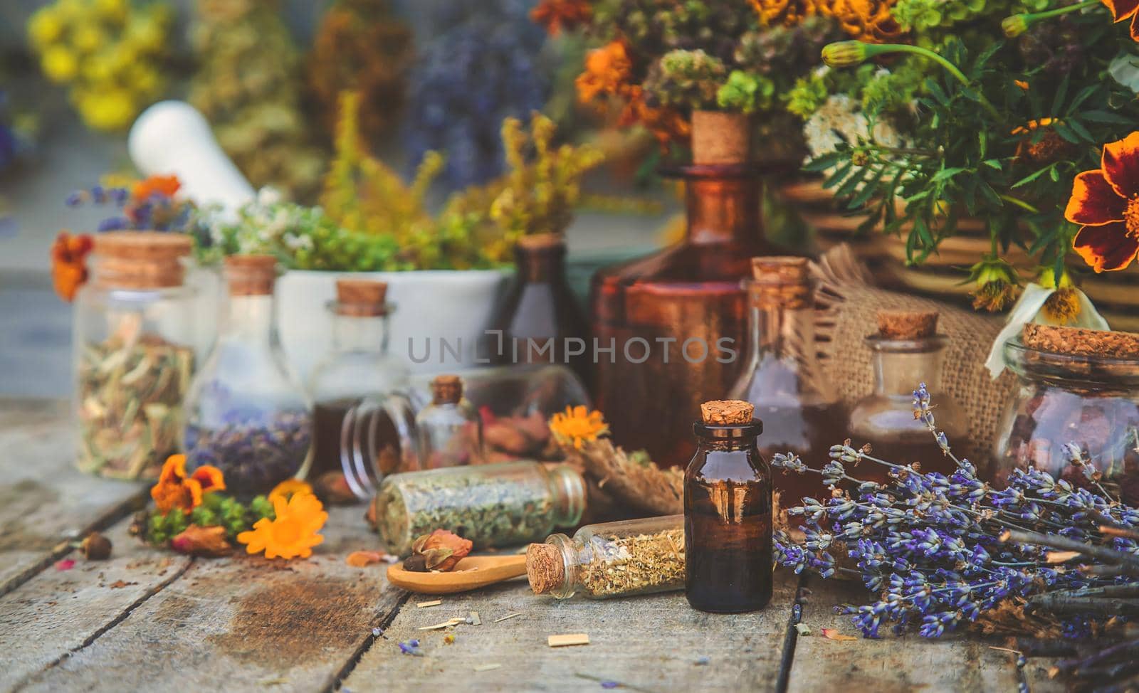 Medicinal herbs and tinctures homeopathy. Selective focus. Nature.