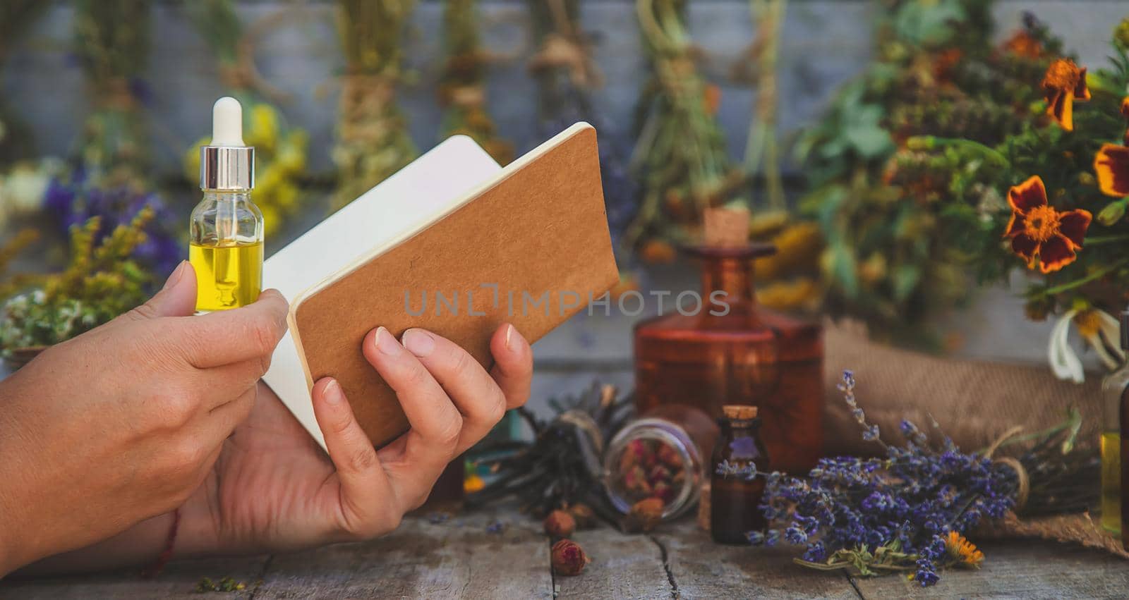 Medicinal herbs and tinctures homeopathy. Selective focus. Nature.