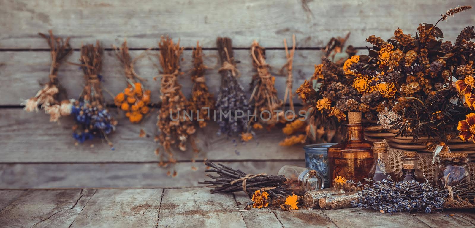 Medicinal herbs and tinctures homeopathy. Selective focus. Nature.