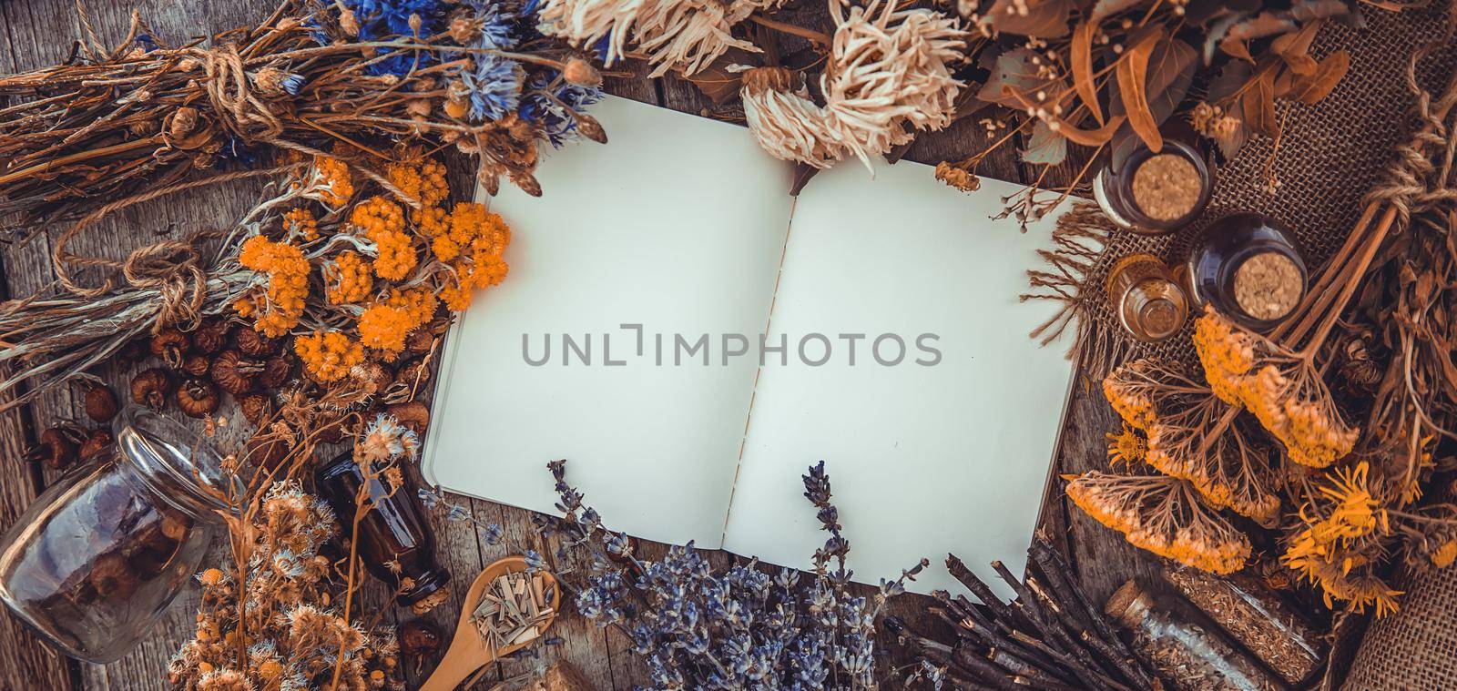 Medicinal herbs and tinctures homeopathy. Selective focus. Nature.