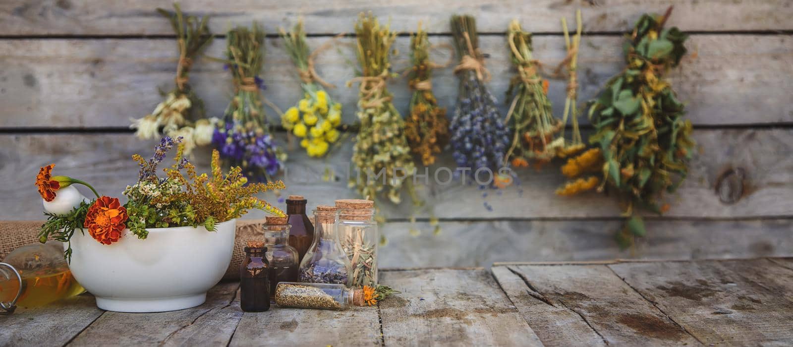 Medicinal herbs and tinctures homeopathy. Selective focus. Nature.