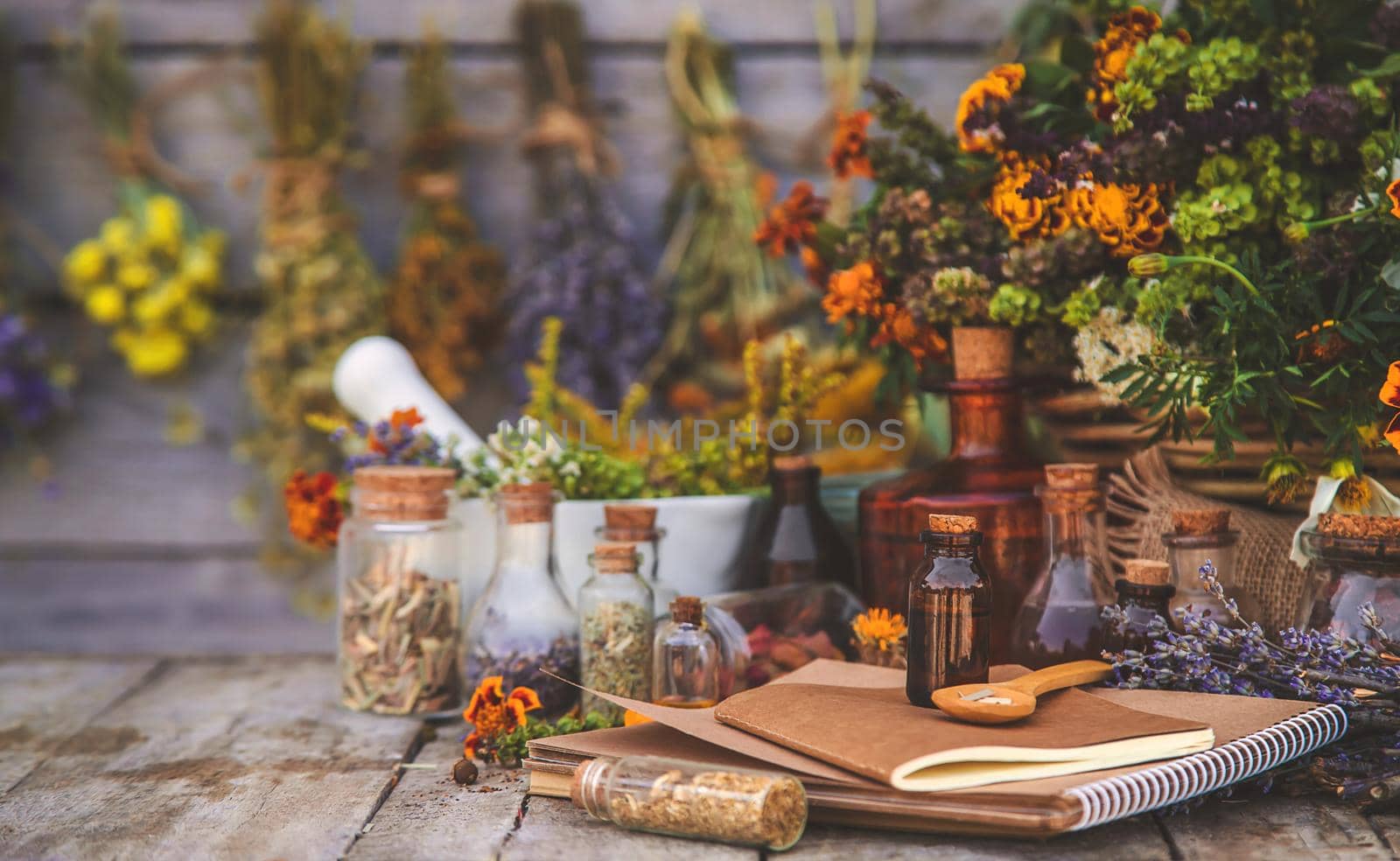 Medicinal herbs and tinctures homeopathy. Selective focus. Nature.