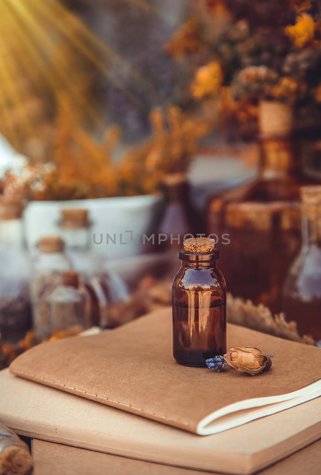 Medicinal herbs and tinctures homeopathy. Selective focus. Nature.