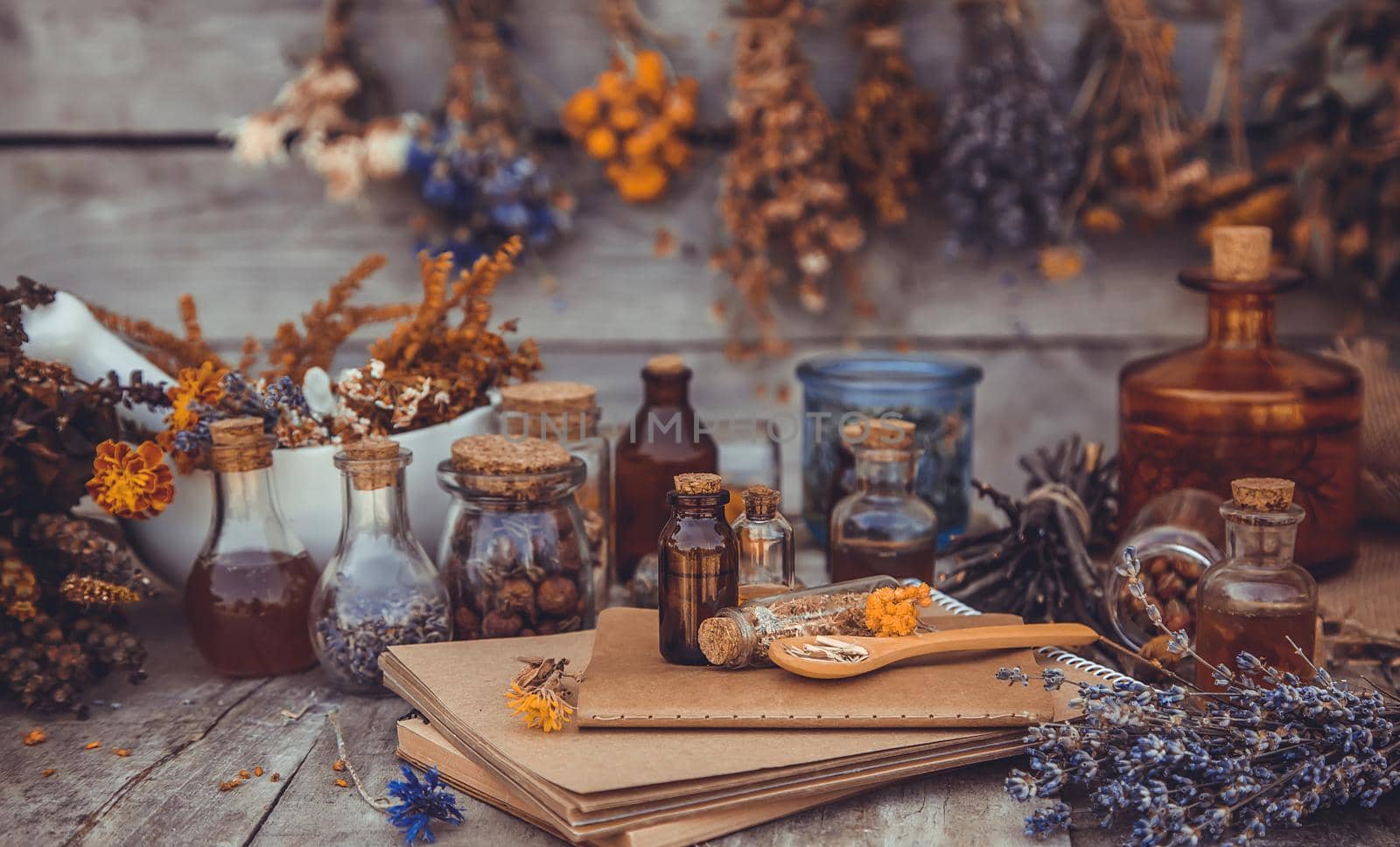 Medicinal herbs and tinctures homeopathy. Selective focus. Nature.