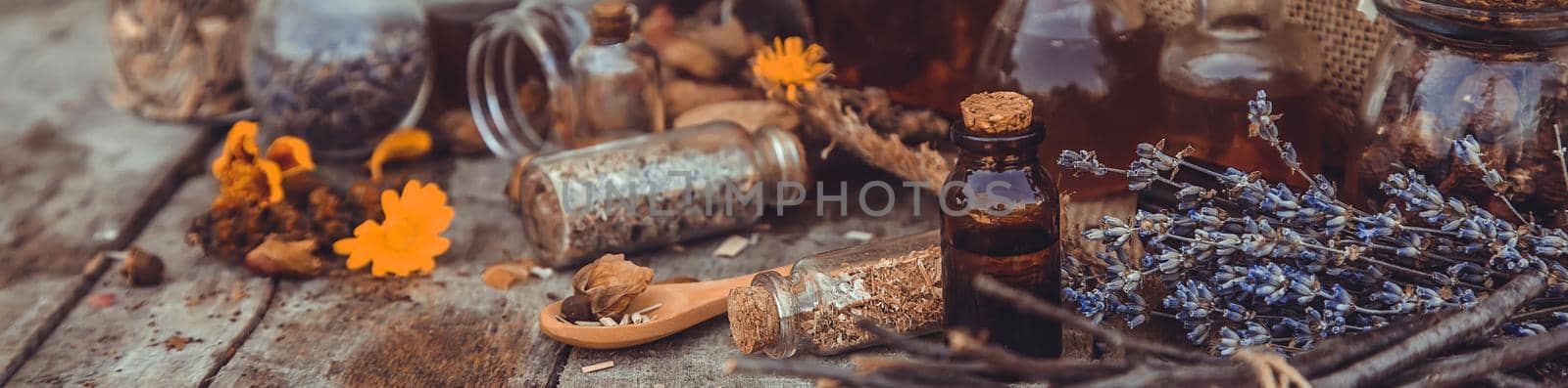 Medicinal herbs and tinctures homeopathy. Selective focus. Nature.