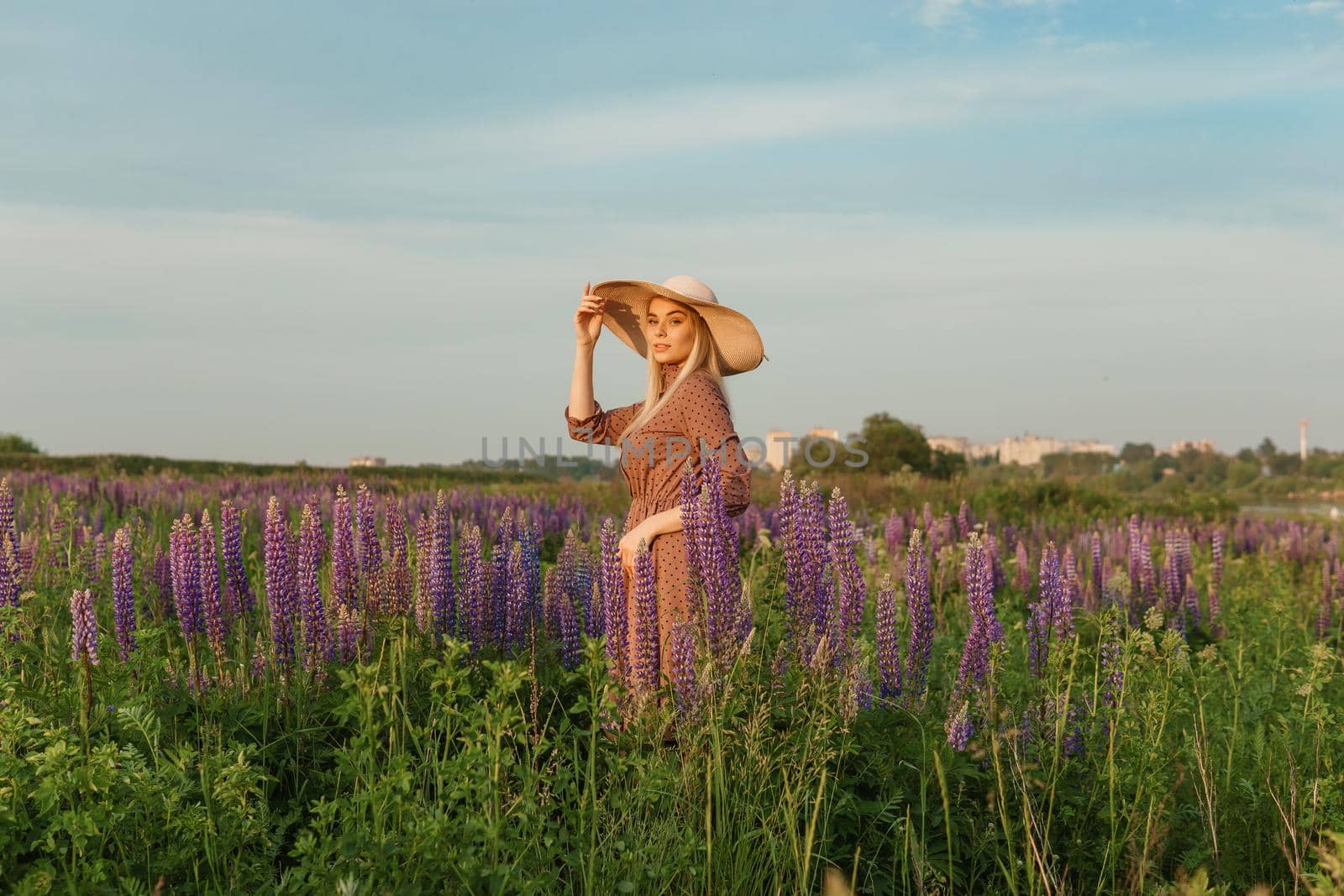 A beautiful woman in a straw hat walks in a field with purple flowers. A walk in nature in the lupin field.
