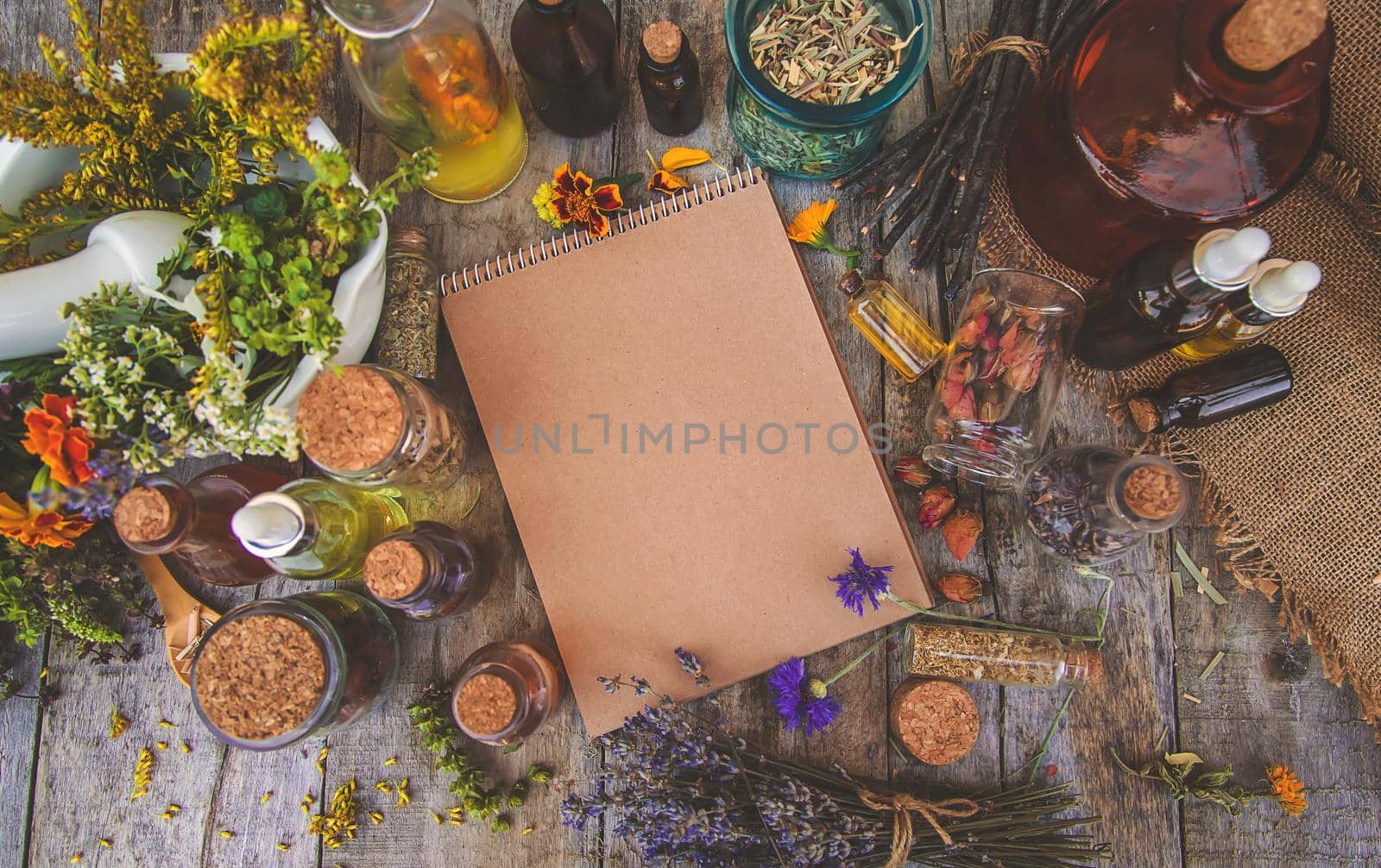 Medicinal herbs and tinctures homeopathy. Selective focus. Nature.