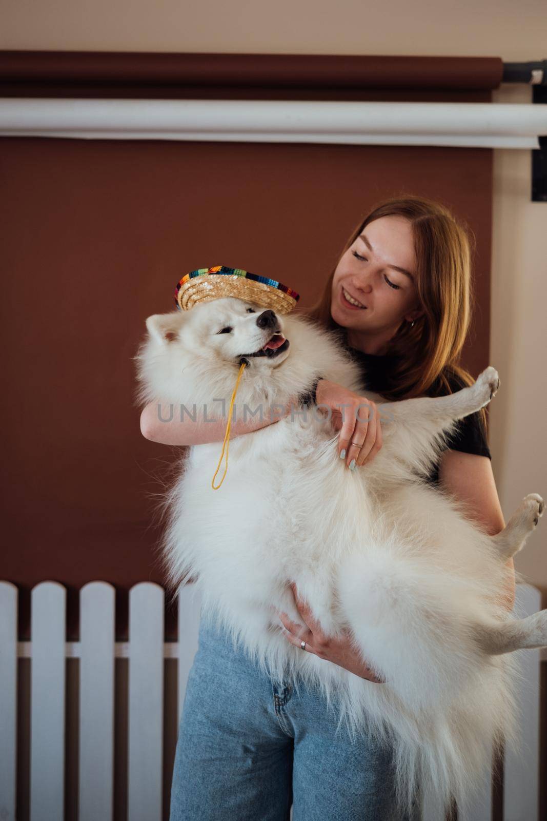 Young woman holding on hands dog breed Japanese spitz with sombrero
