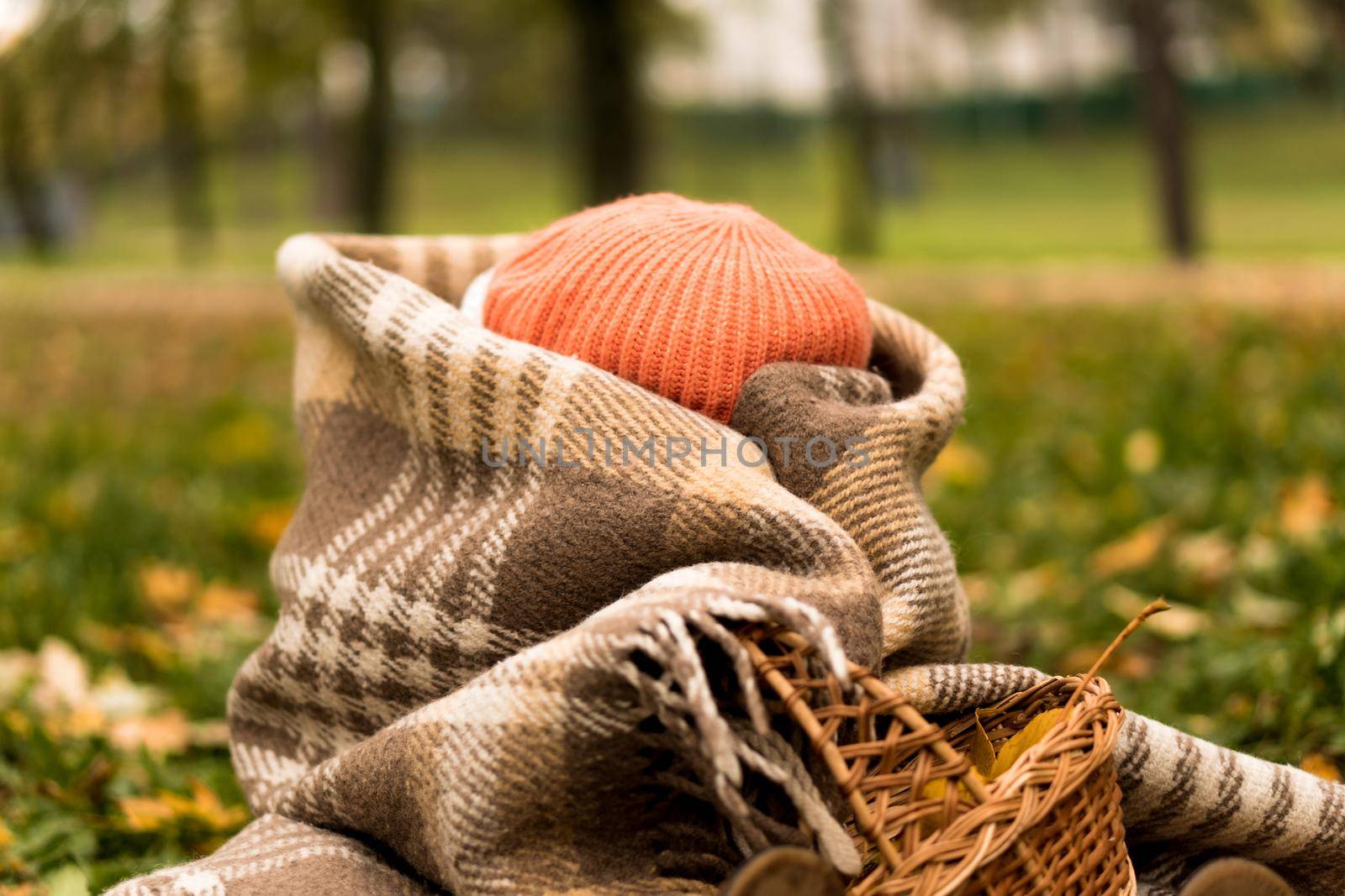Little Cute Preschool Minor Baby Girl In Orange Beret Wrapped Up With Head In Plaid At Yellow Fallen Leaves On Basket Hid From Cold Weather In Fall Park. Childhood, Family, Motherhood, Autumn Concept.