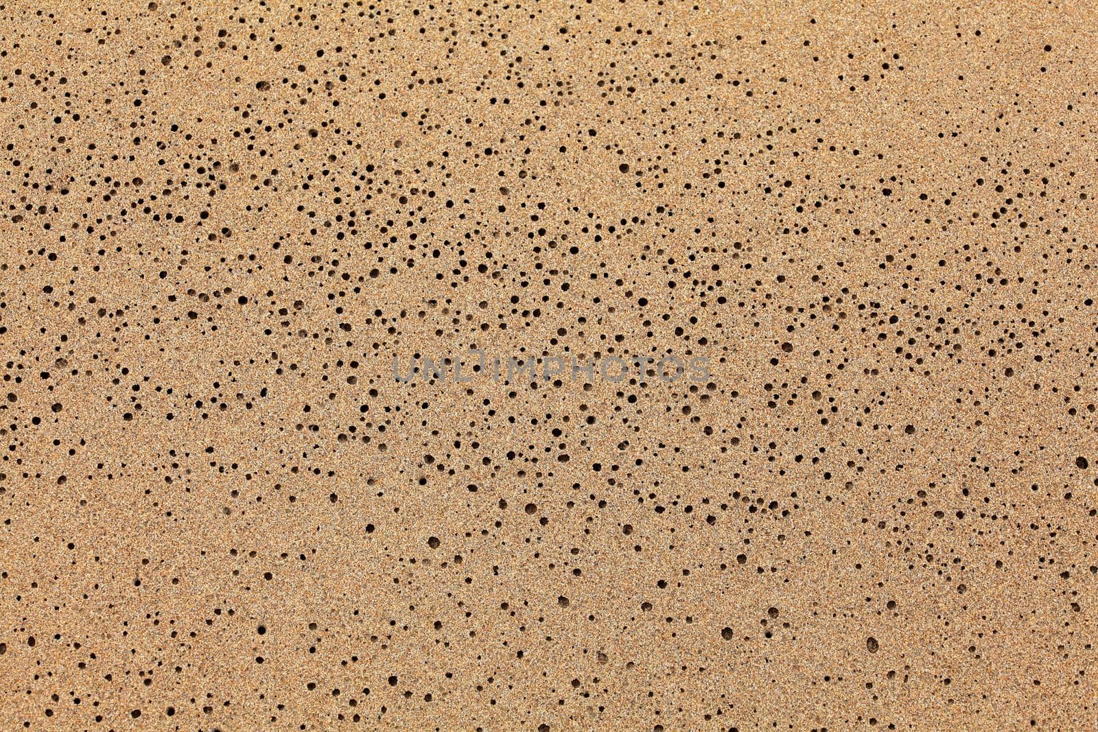 Wet sand on the beach drying water left small holes. Abstract marine nature background.