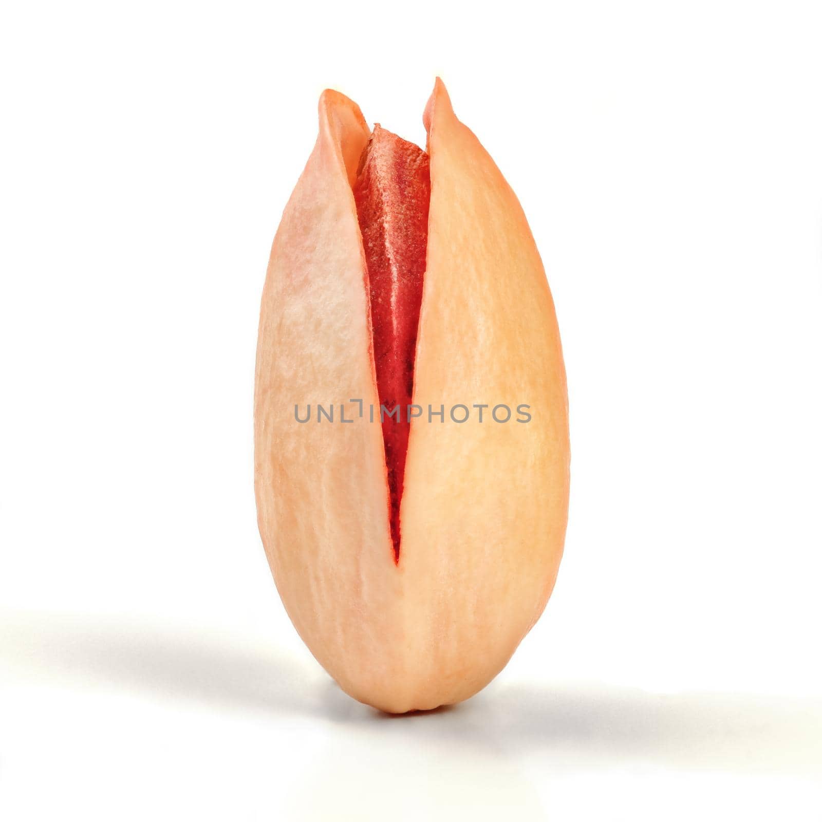 Single roasted red Turkish pistachio in cracked shell isolated on white background.